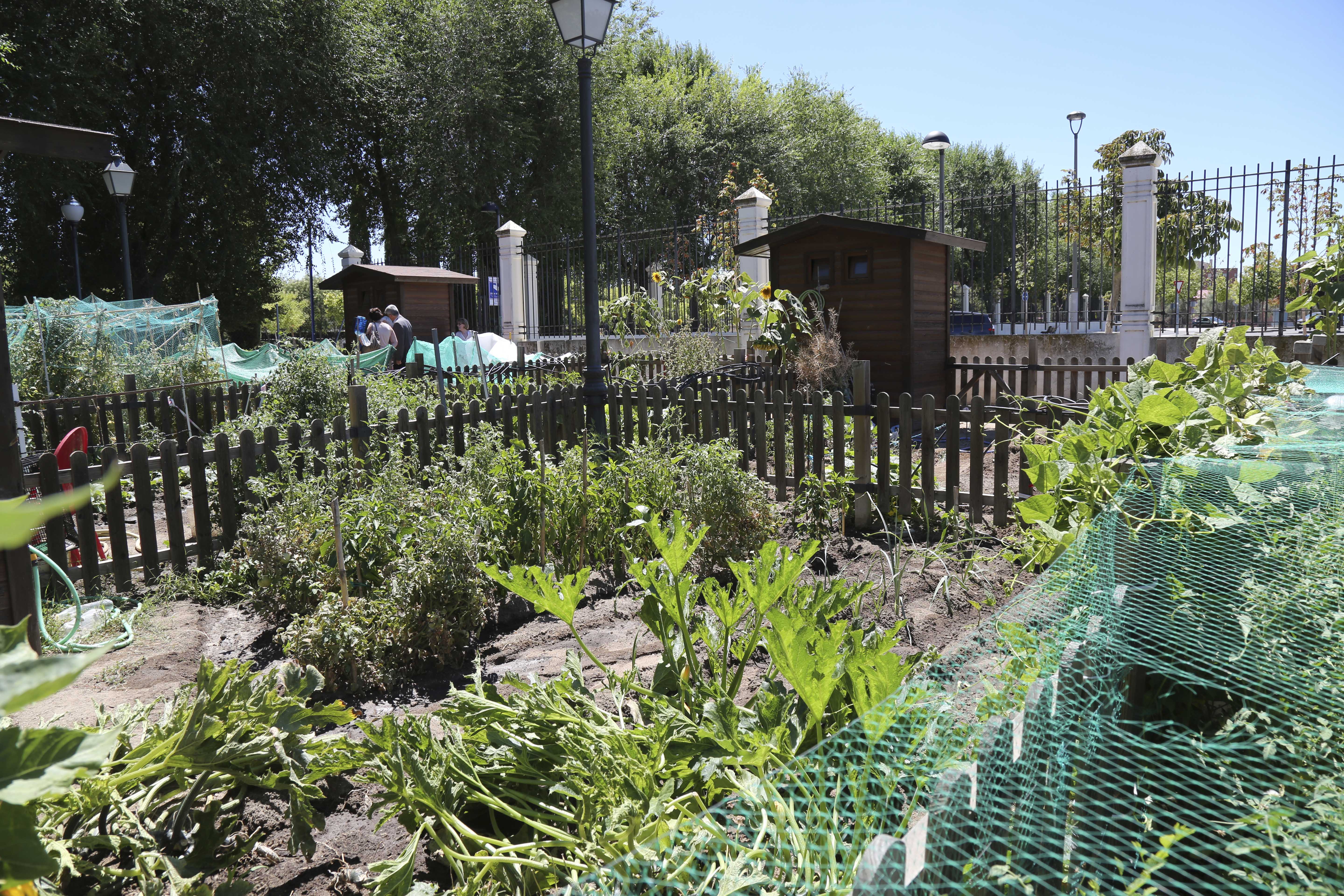 Visita Huertos municipales ecologicos 5