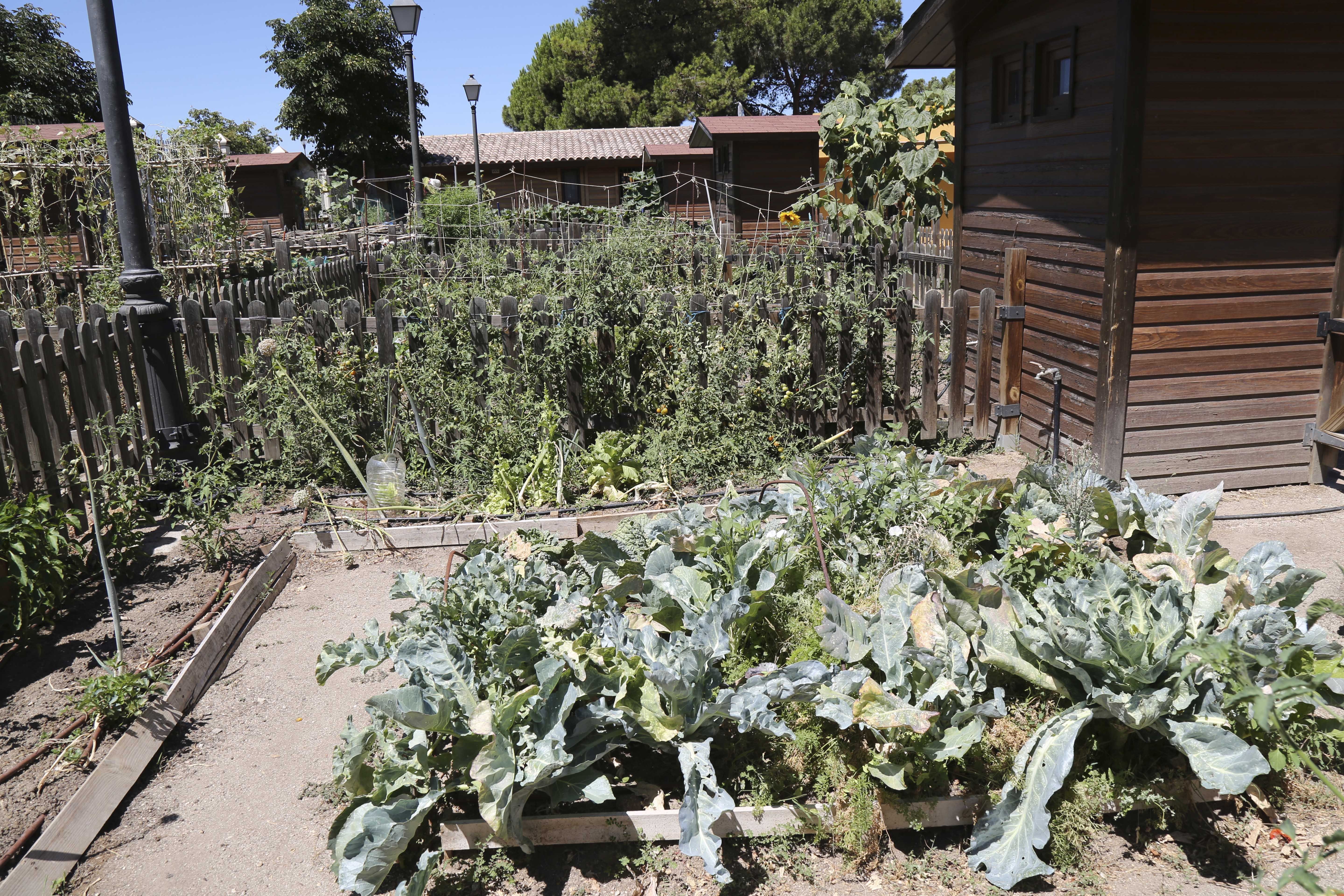 Visita Huertos municipales ecologicos 8