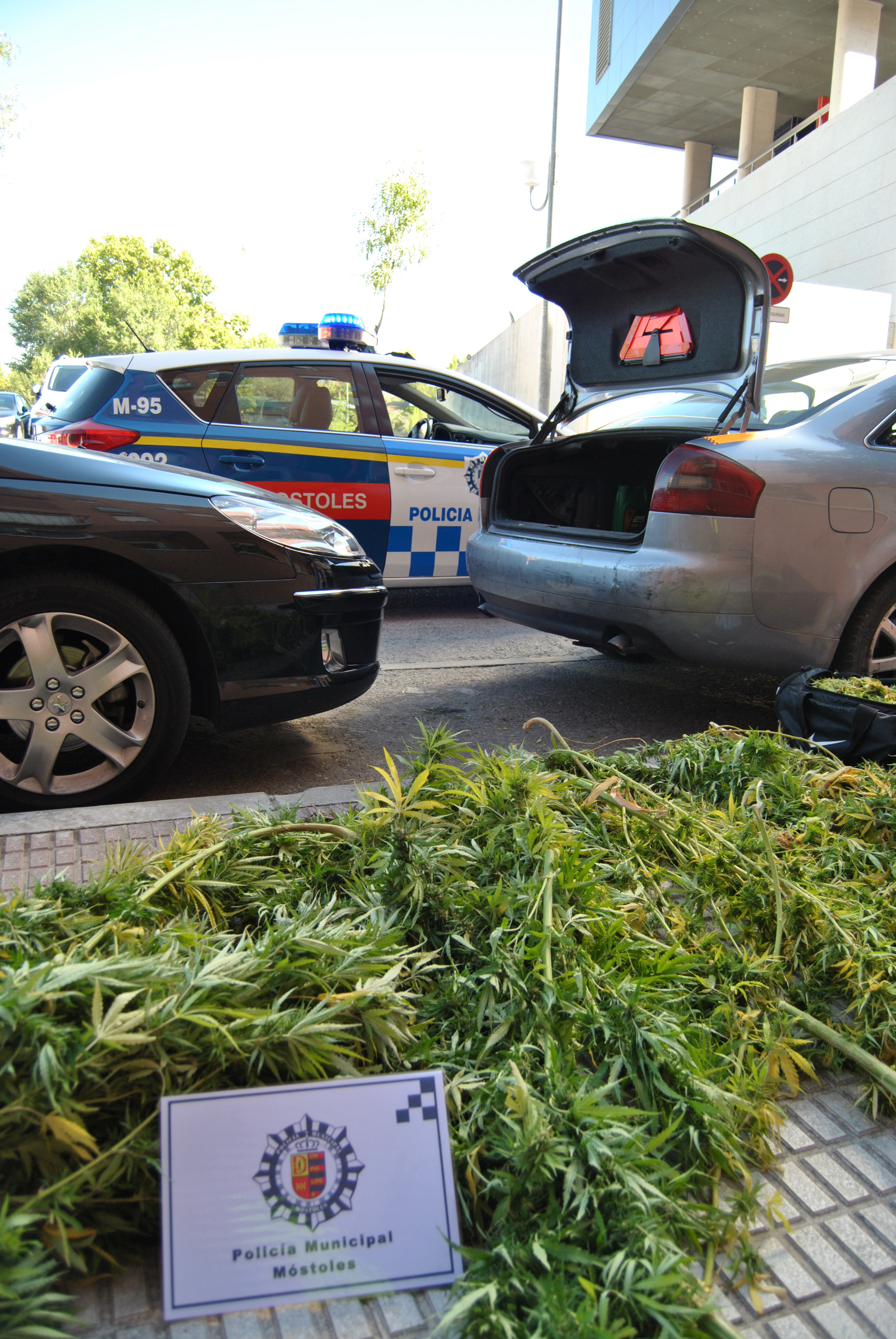 Aprehensión Marihuana