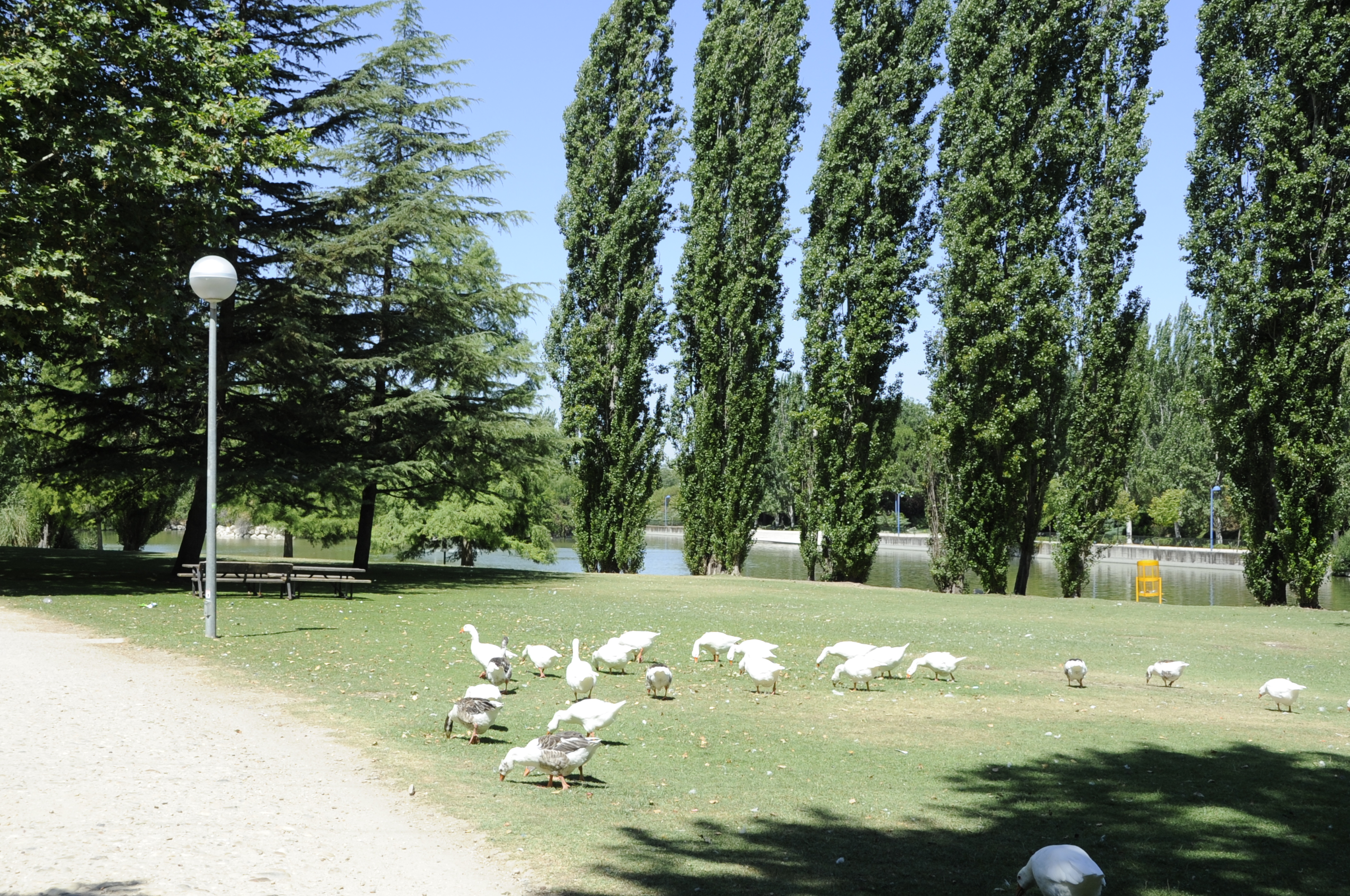 Pactos alcaldes medio ambiente