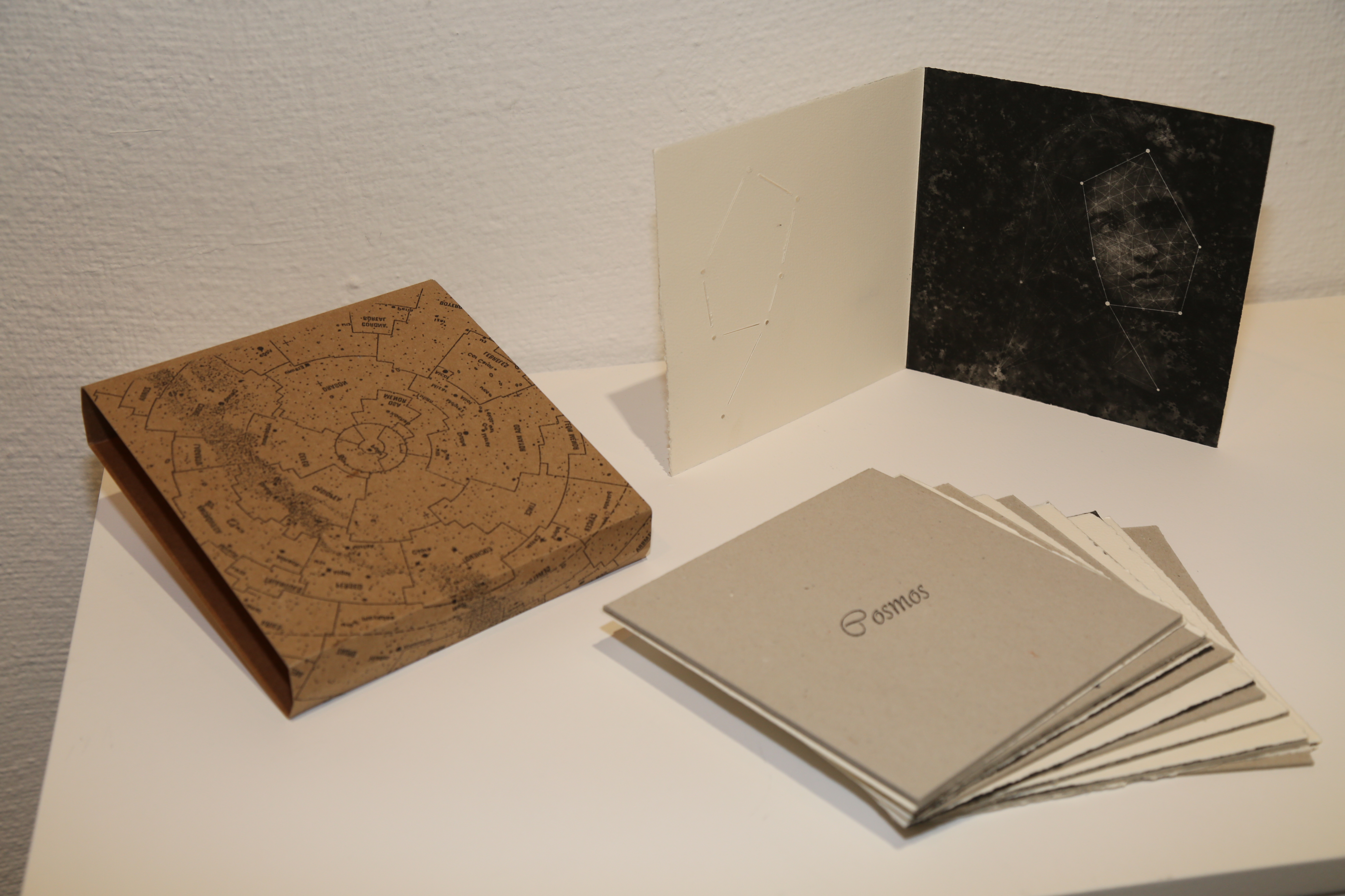 entrega premios libro de artista 5