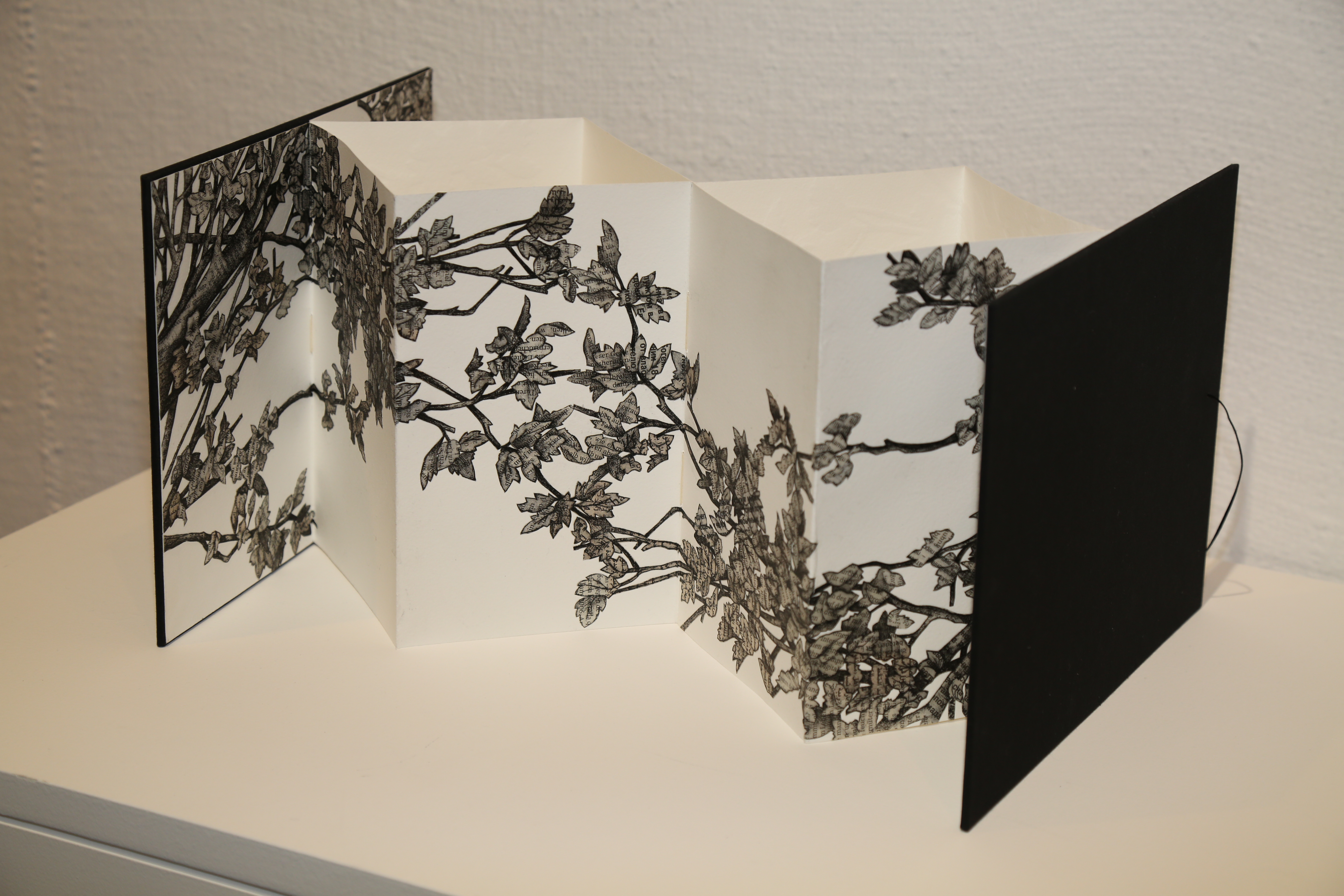 entrega premios libro de artista 6