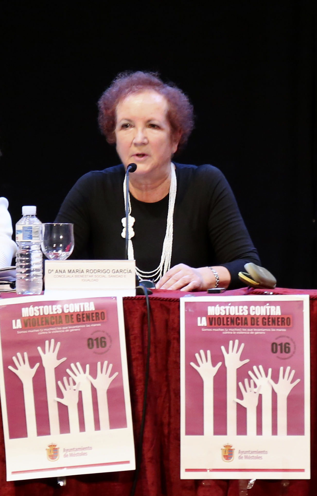 Mesa violencia genero 10