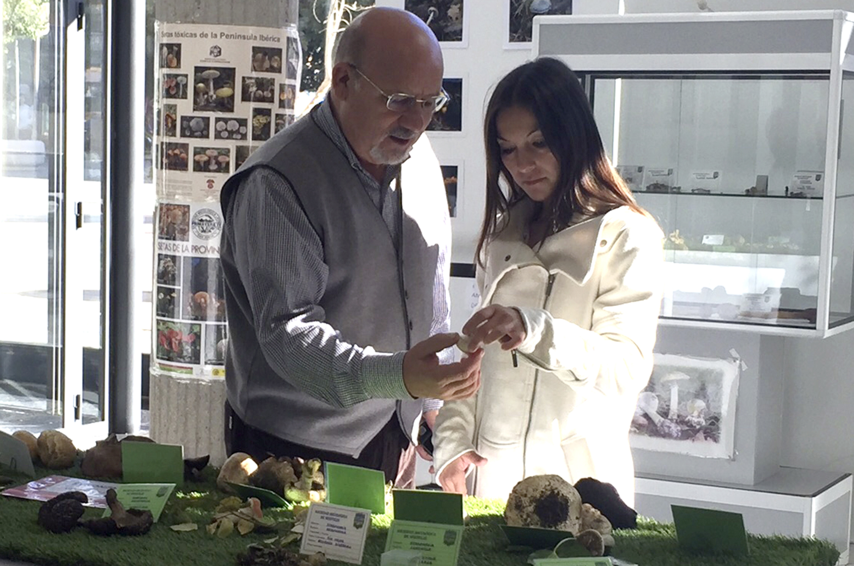 Certamen fotografía Setas 1