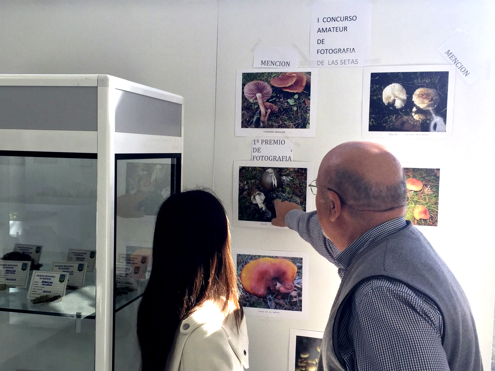 Certamen fotografía Setas 2