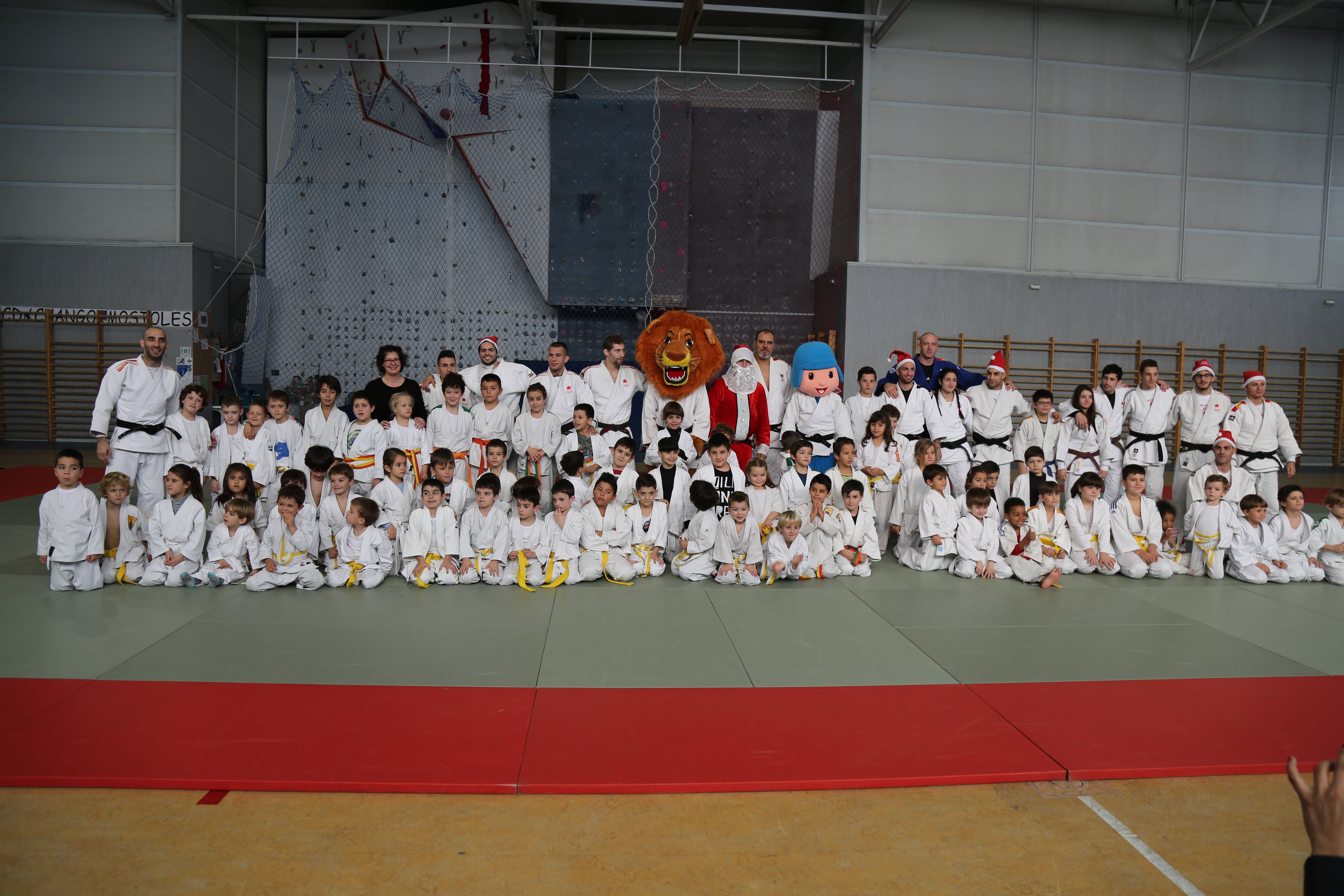 judo 6