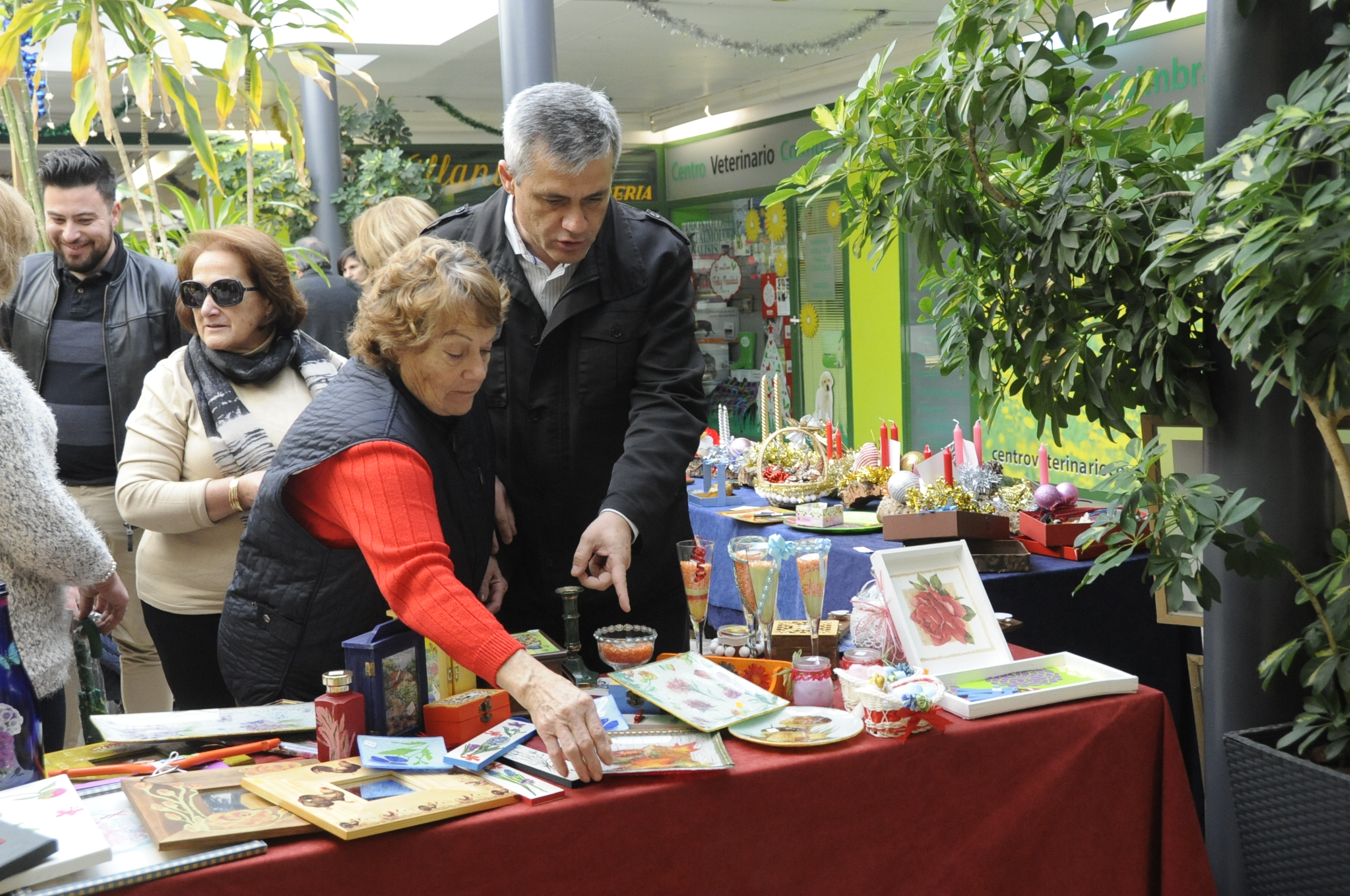 mercado Parque Coimbra 4