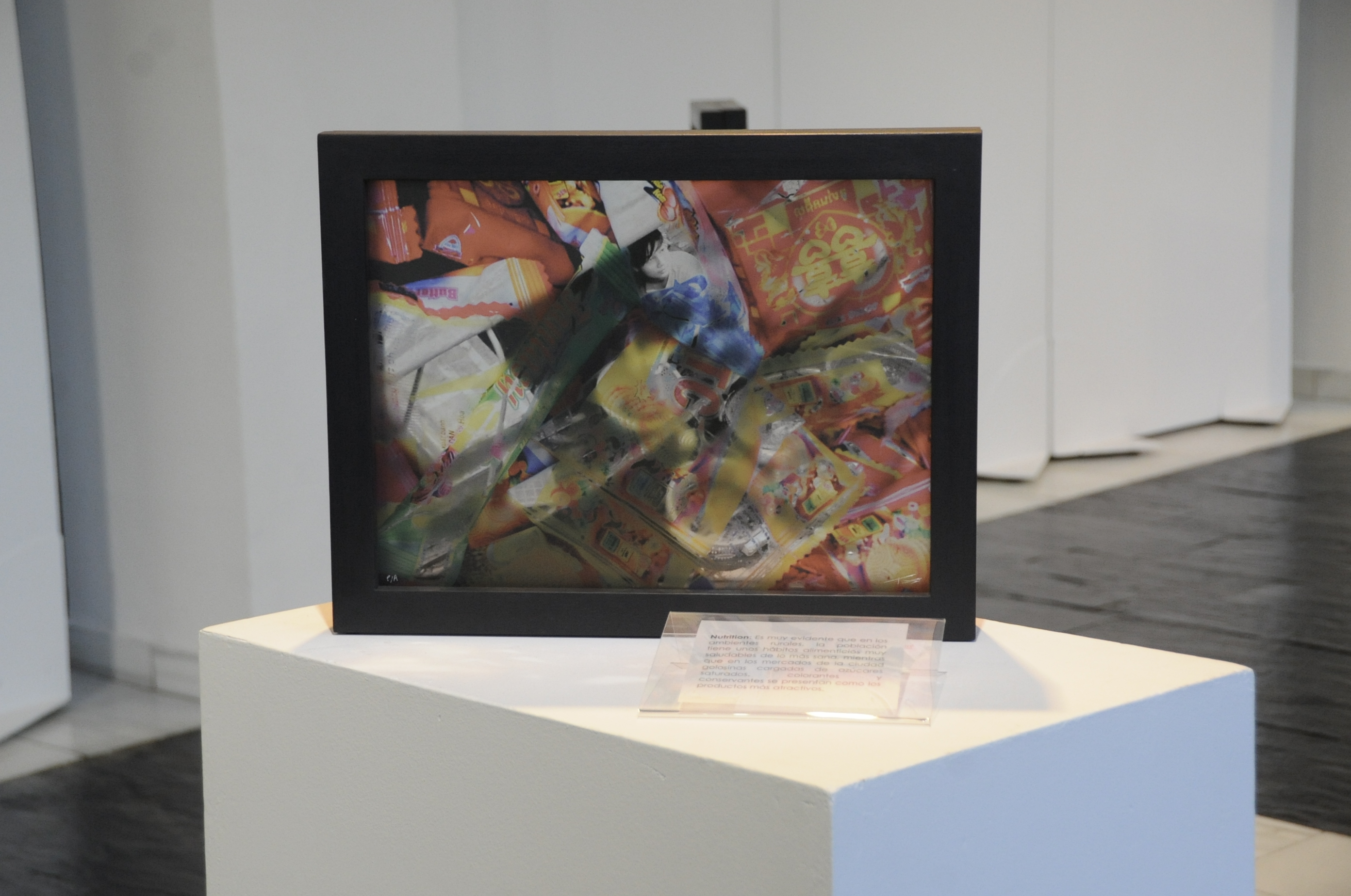 Visita Expo Vietnam Dualidad 1