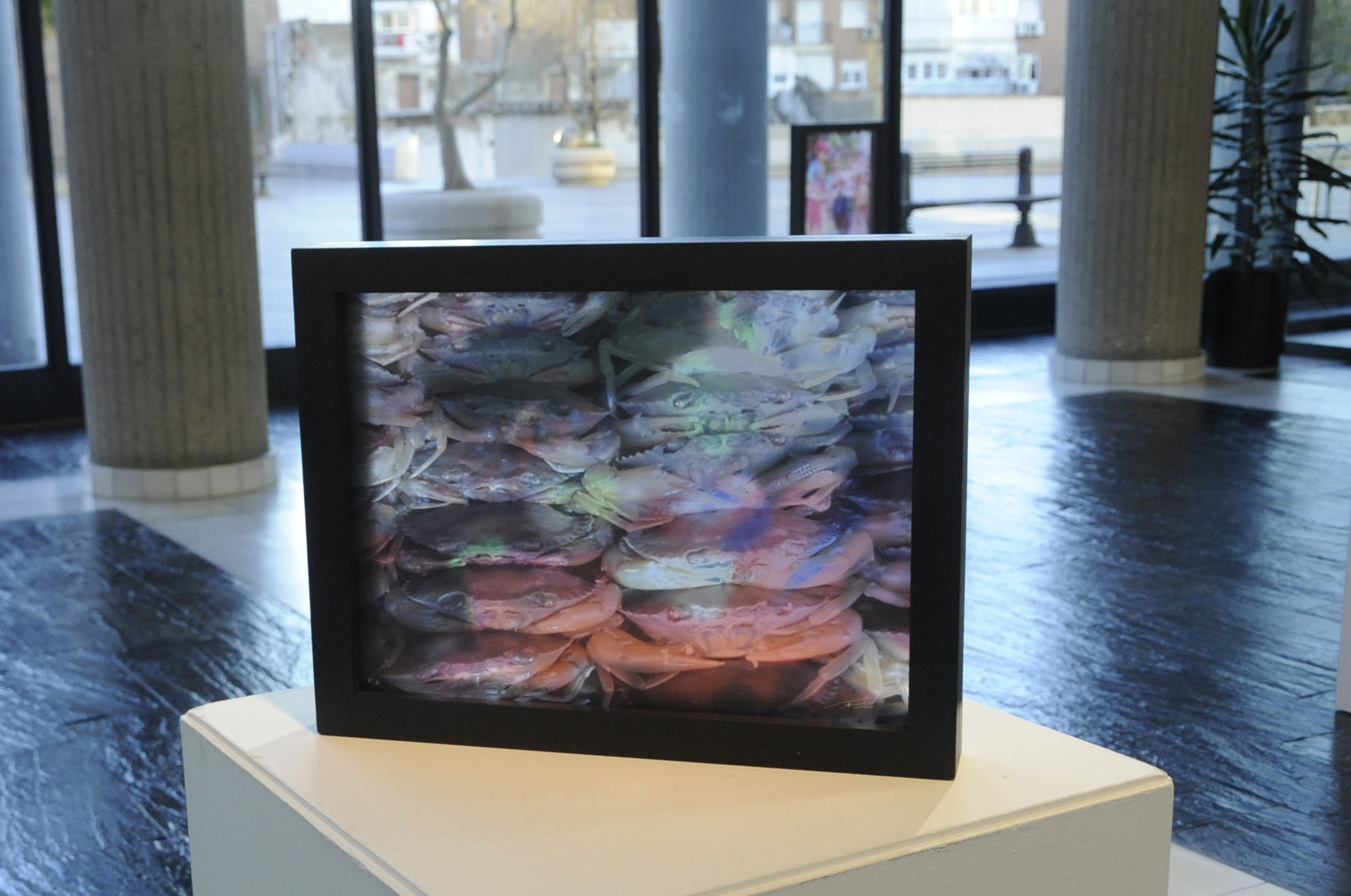 Visita Expo Vietnam Dualidad 4