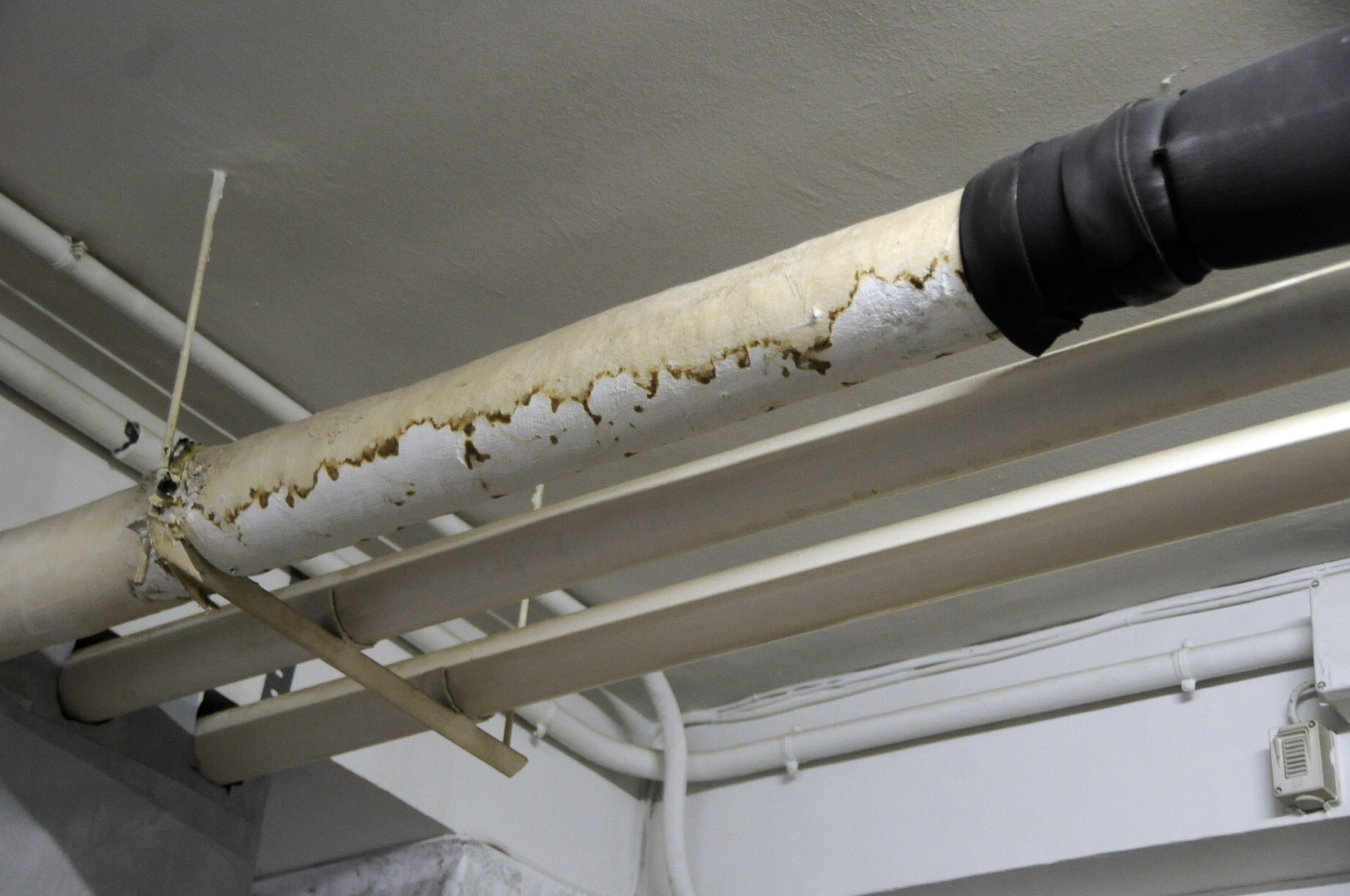 Visita al colegio Joan Miró 3