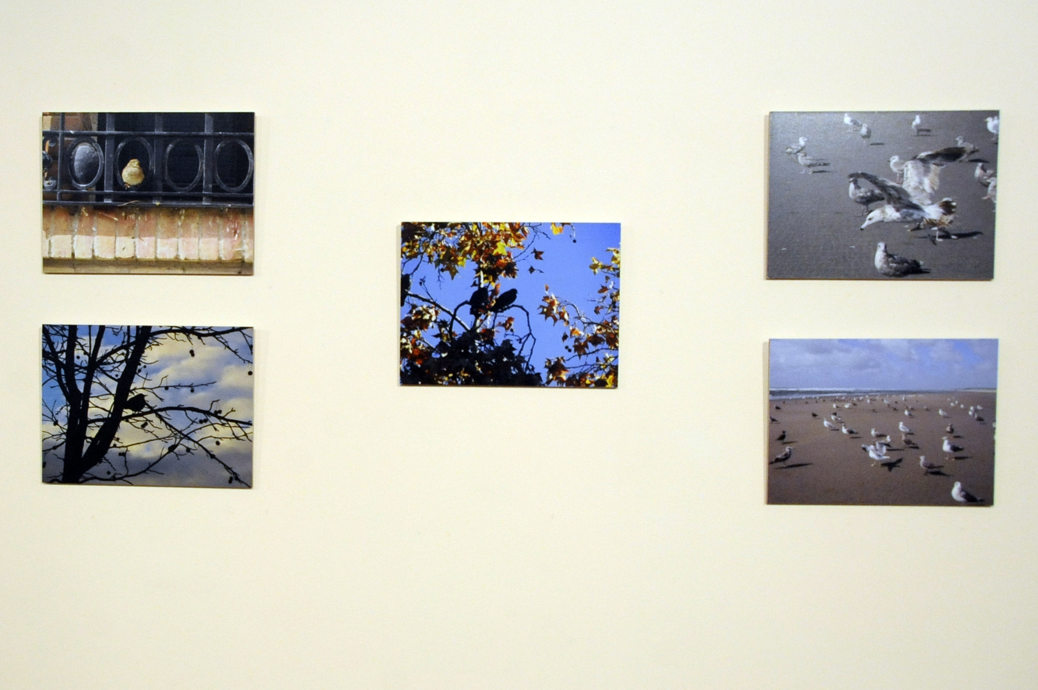 Expo fotos MI MIRADA II 1