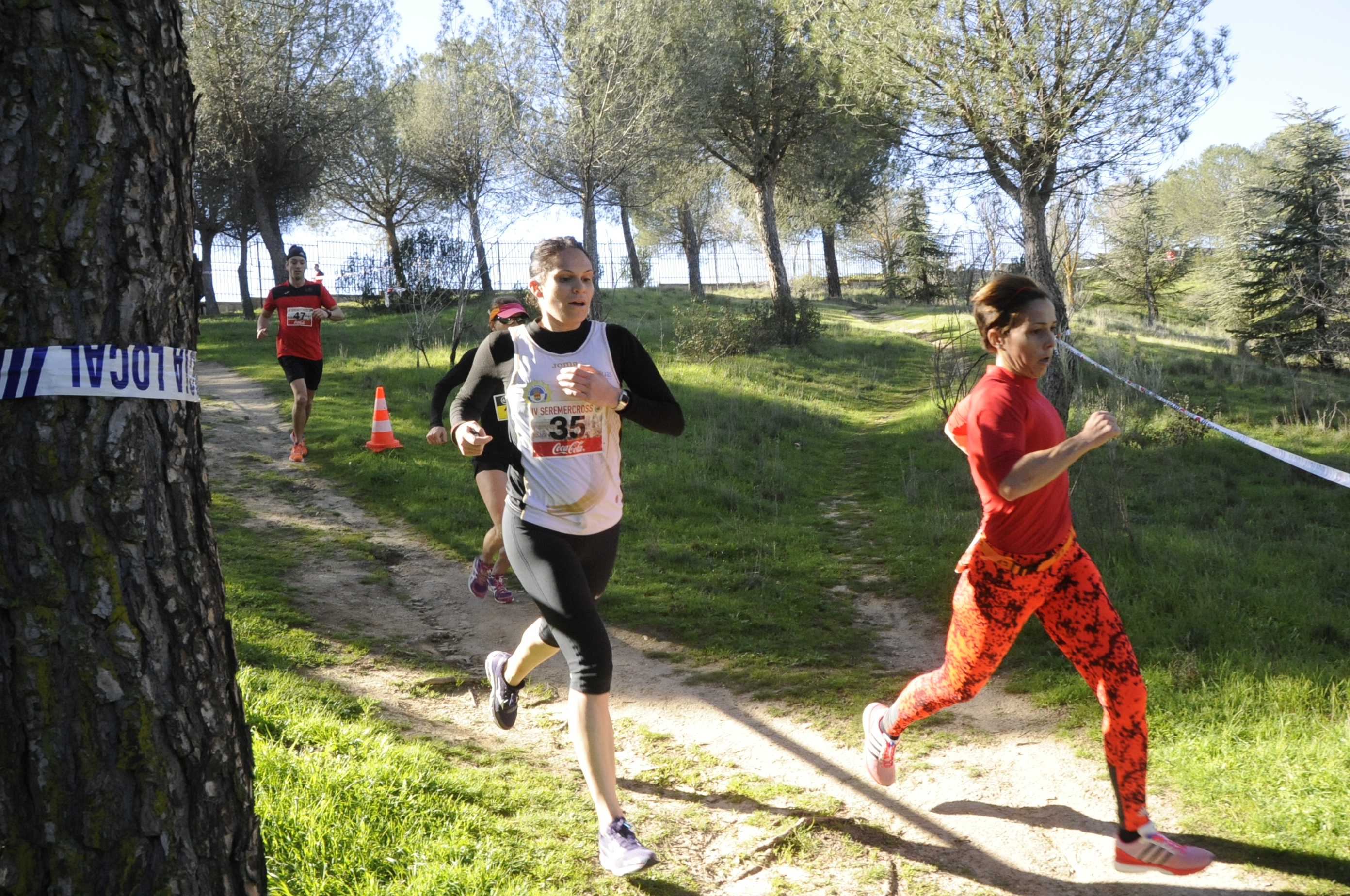 Carrera pro Banco de Alimentos SEREMER (21)