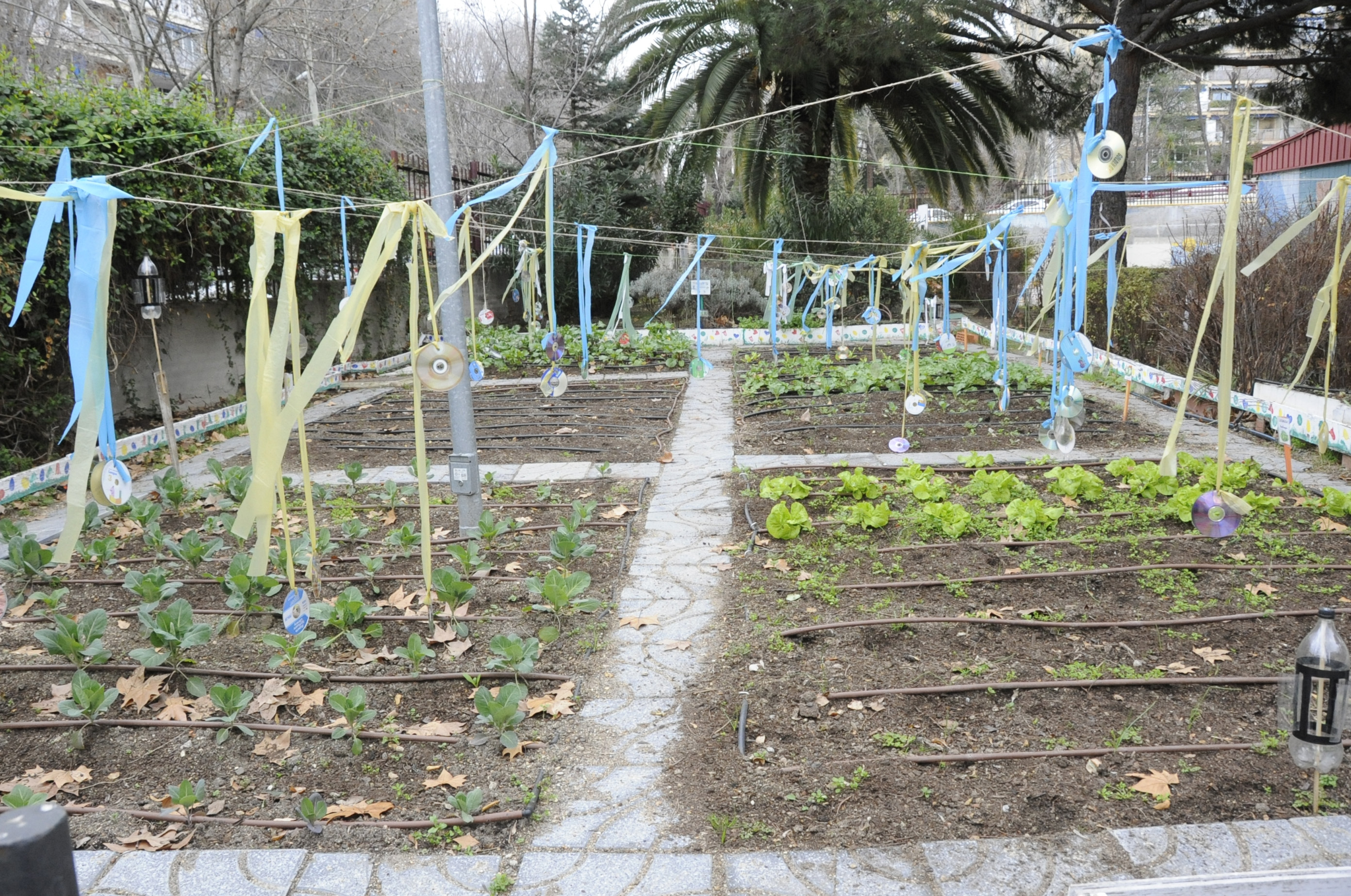 Huerto escolar del colegio Antonio Hernández