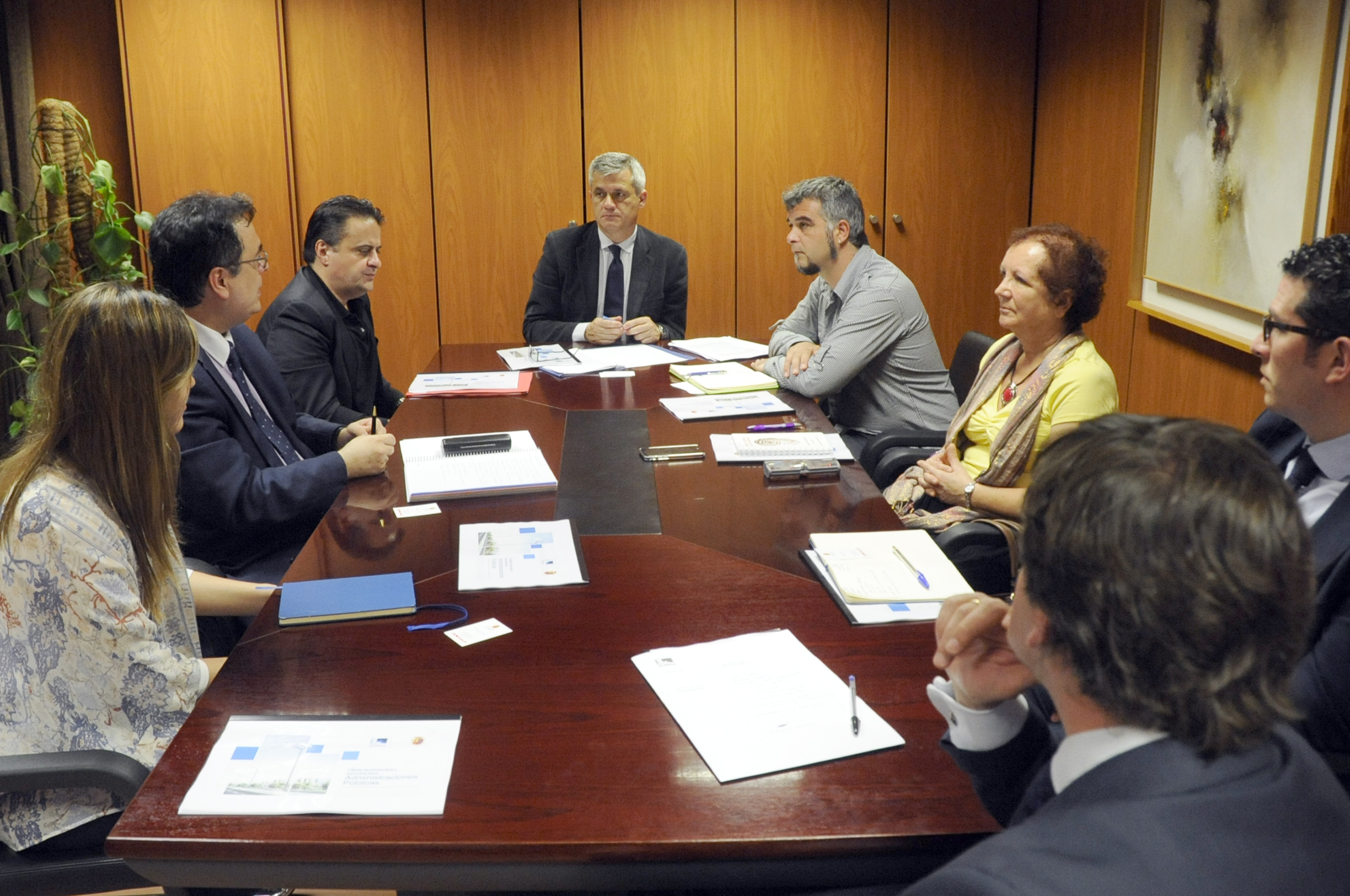 Reunión con ENDESA 1