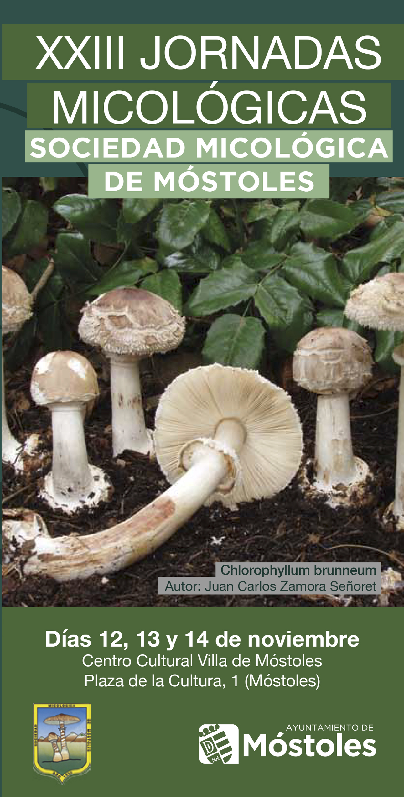 Jornadas Micológicas