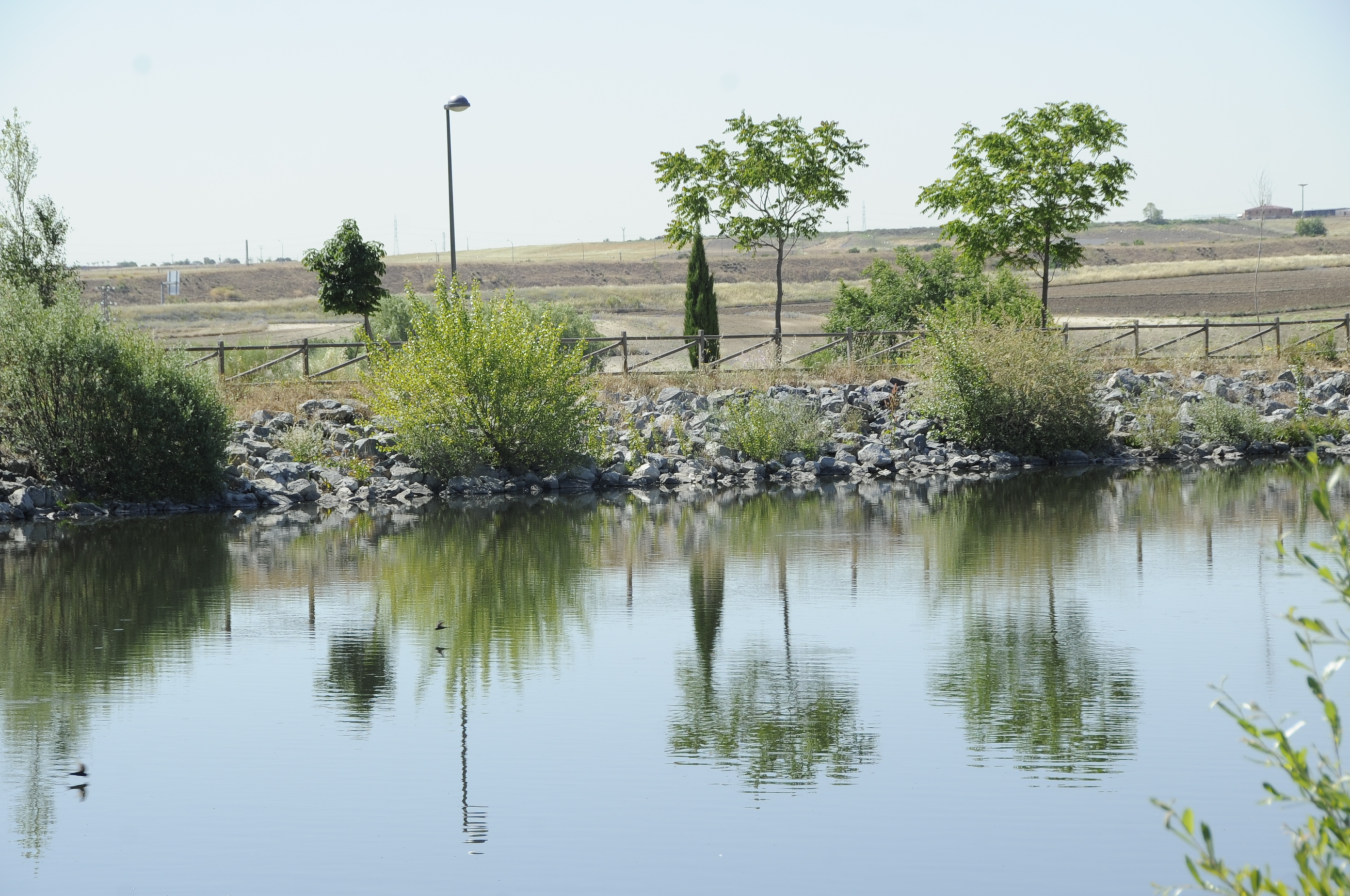 parque Nelson Mandela 1