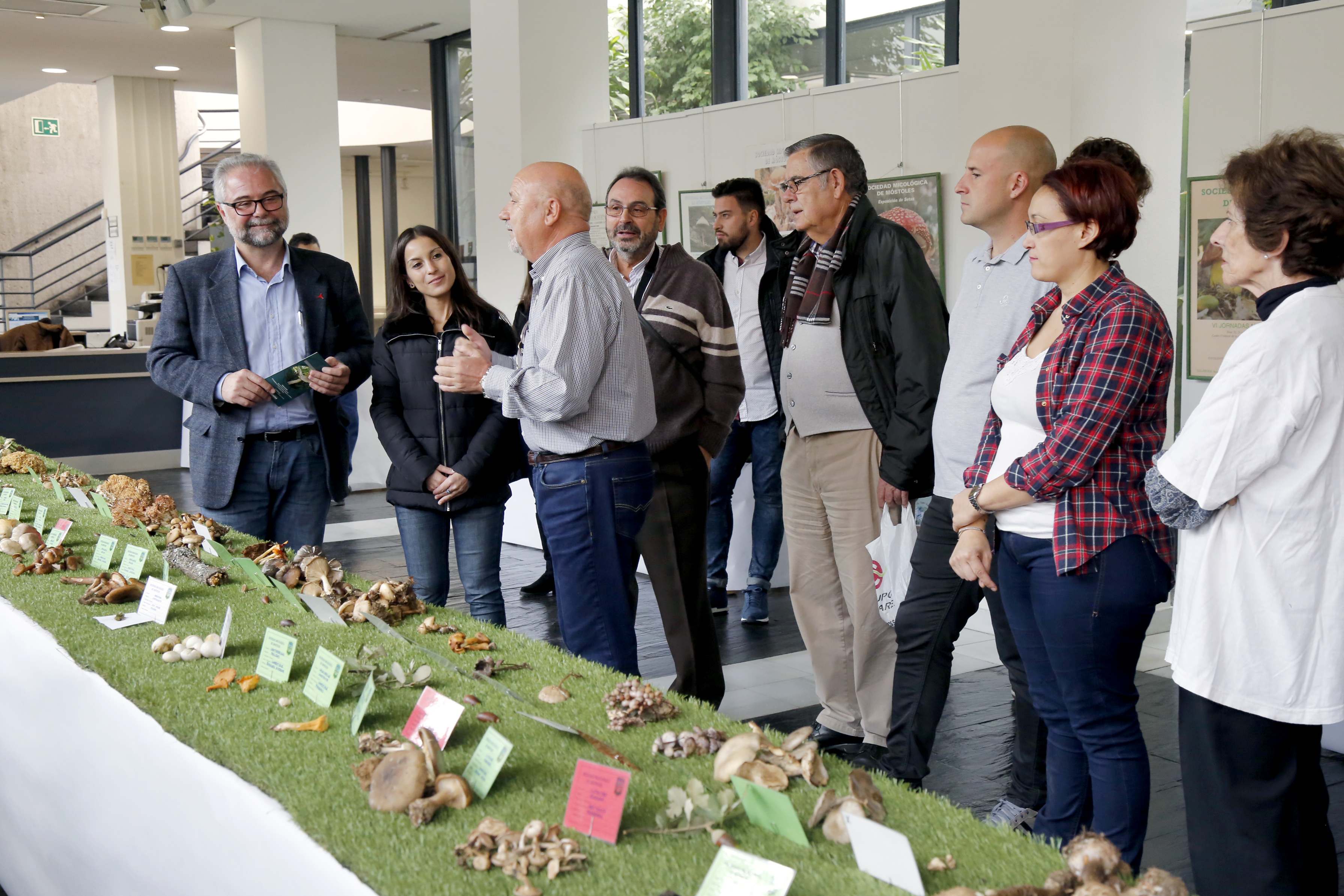 Inauguración Concurso Setas 1