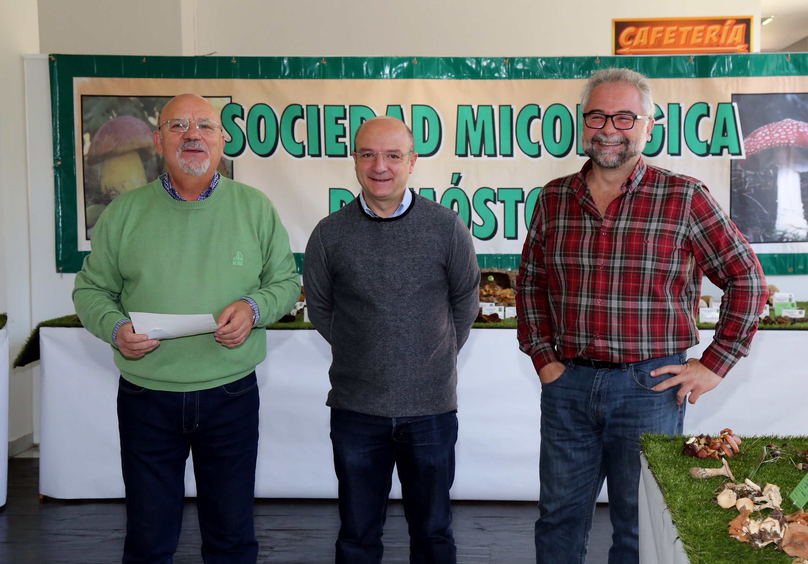 Concurso foto setas 1