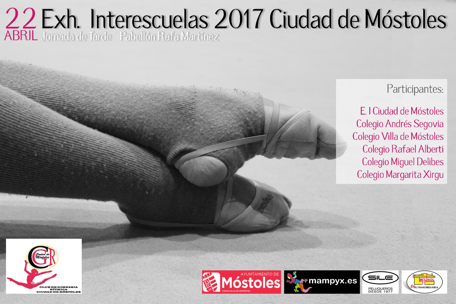 Cartel Interescuelas 2017