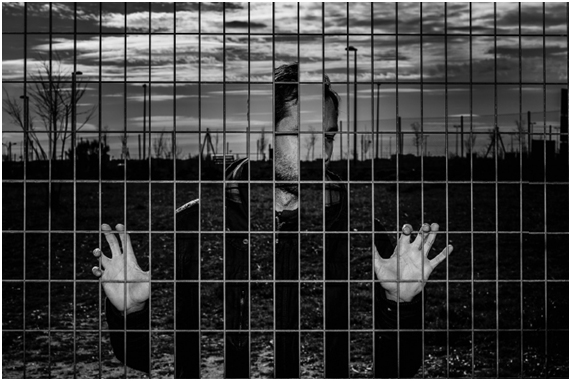 Francisco exposicion junio