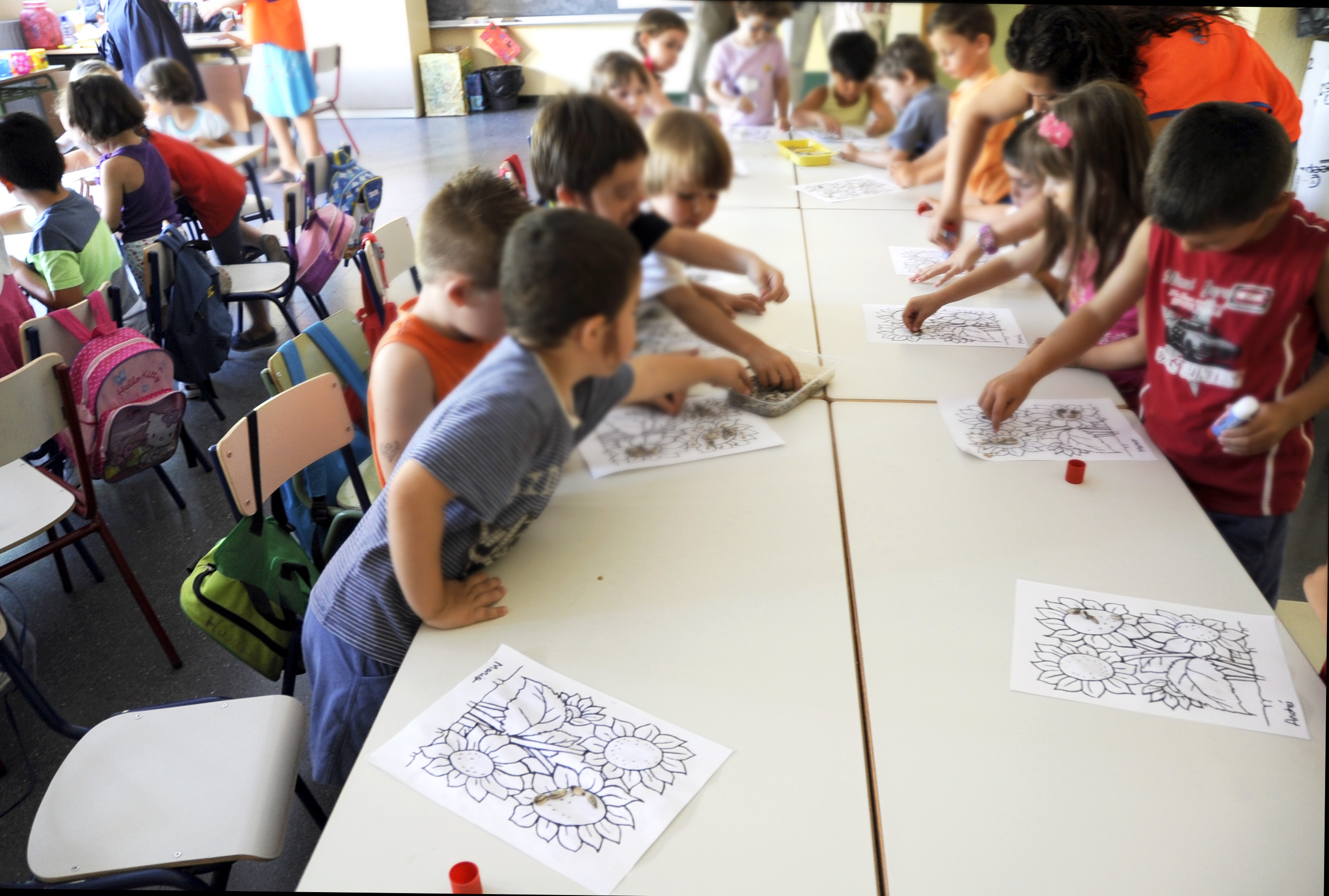 ESCOLARIZACIÓN INCLUSIVA