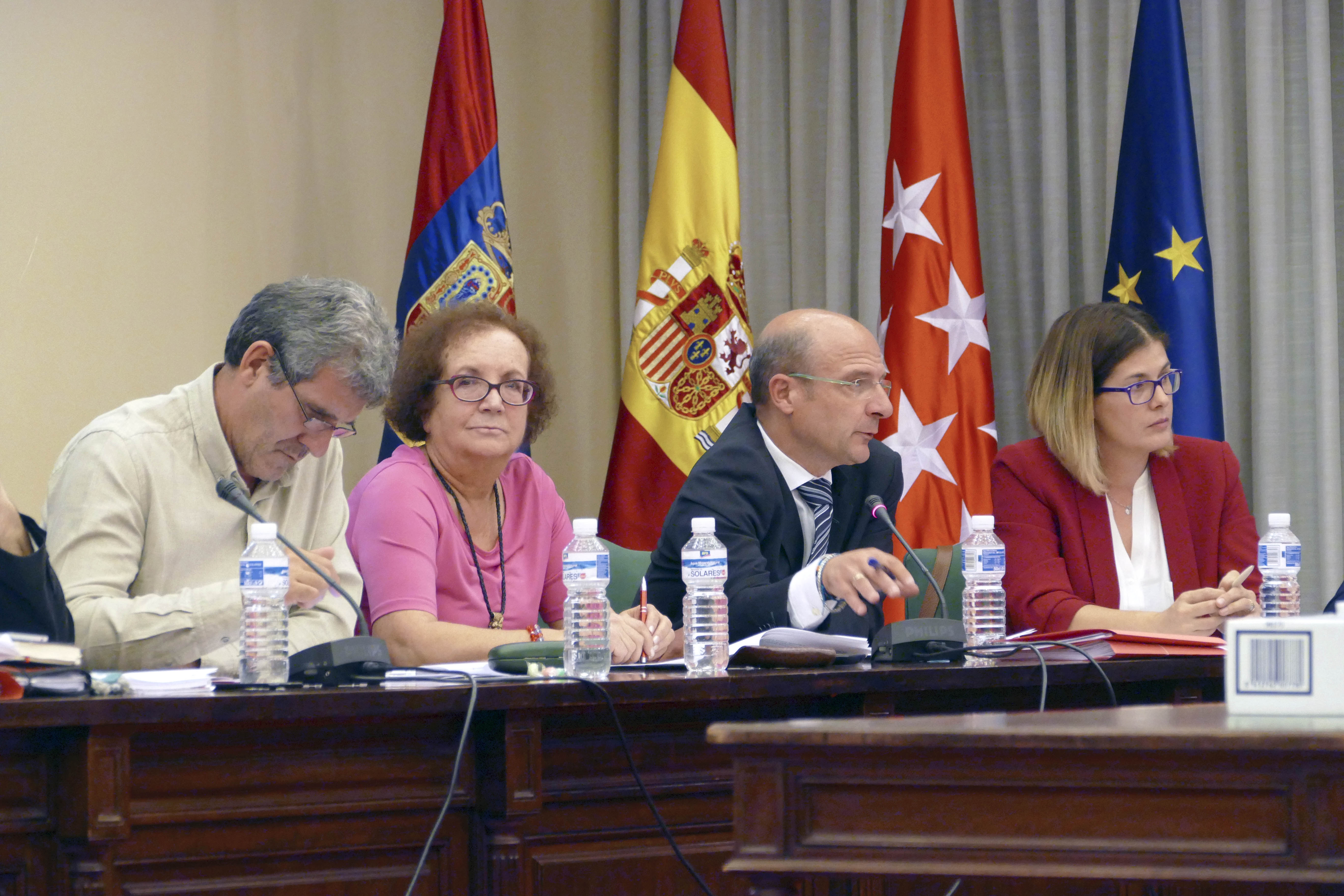 pleno Ayuntamiento