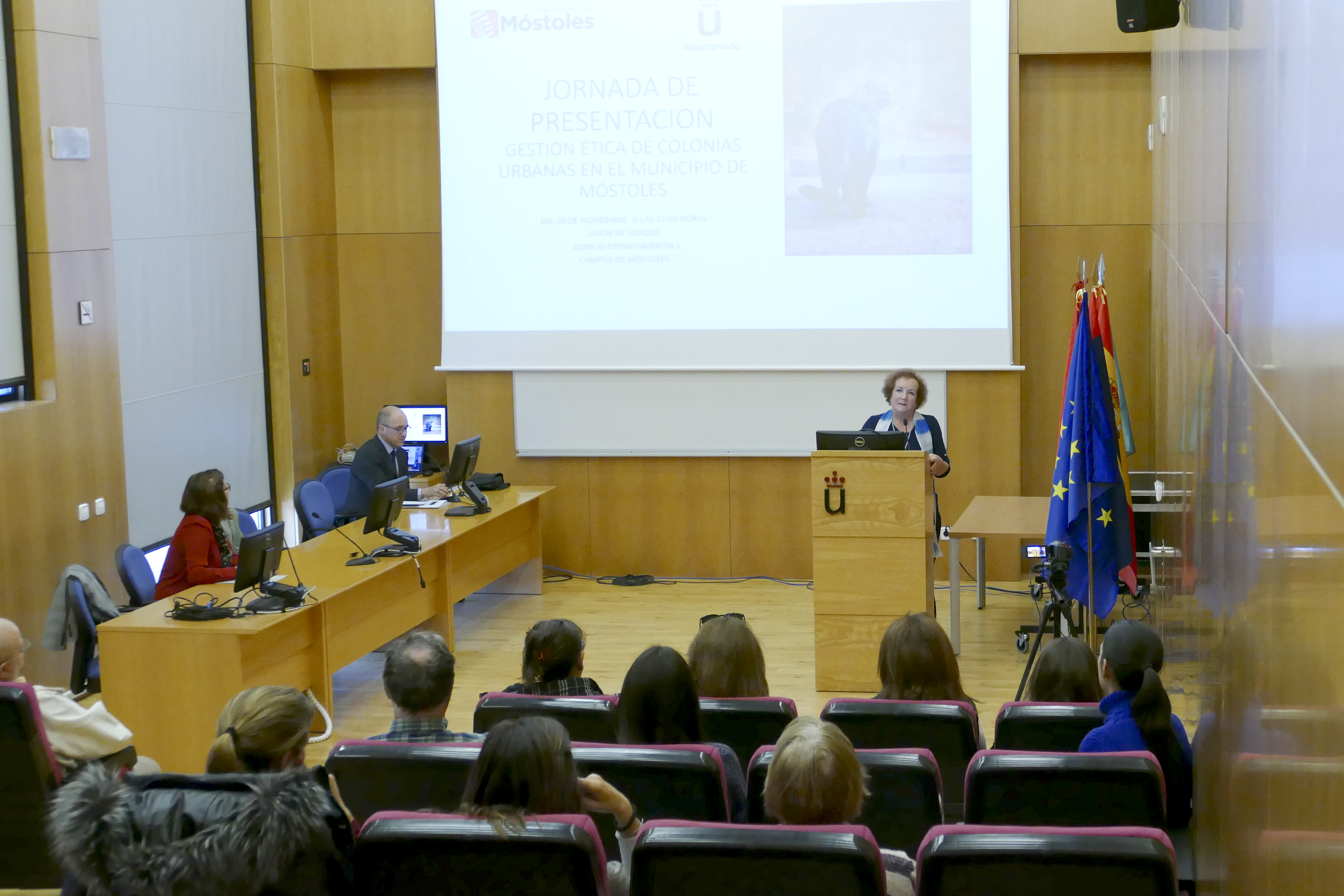 Proyecto Colonias felinas 1