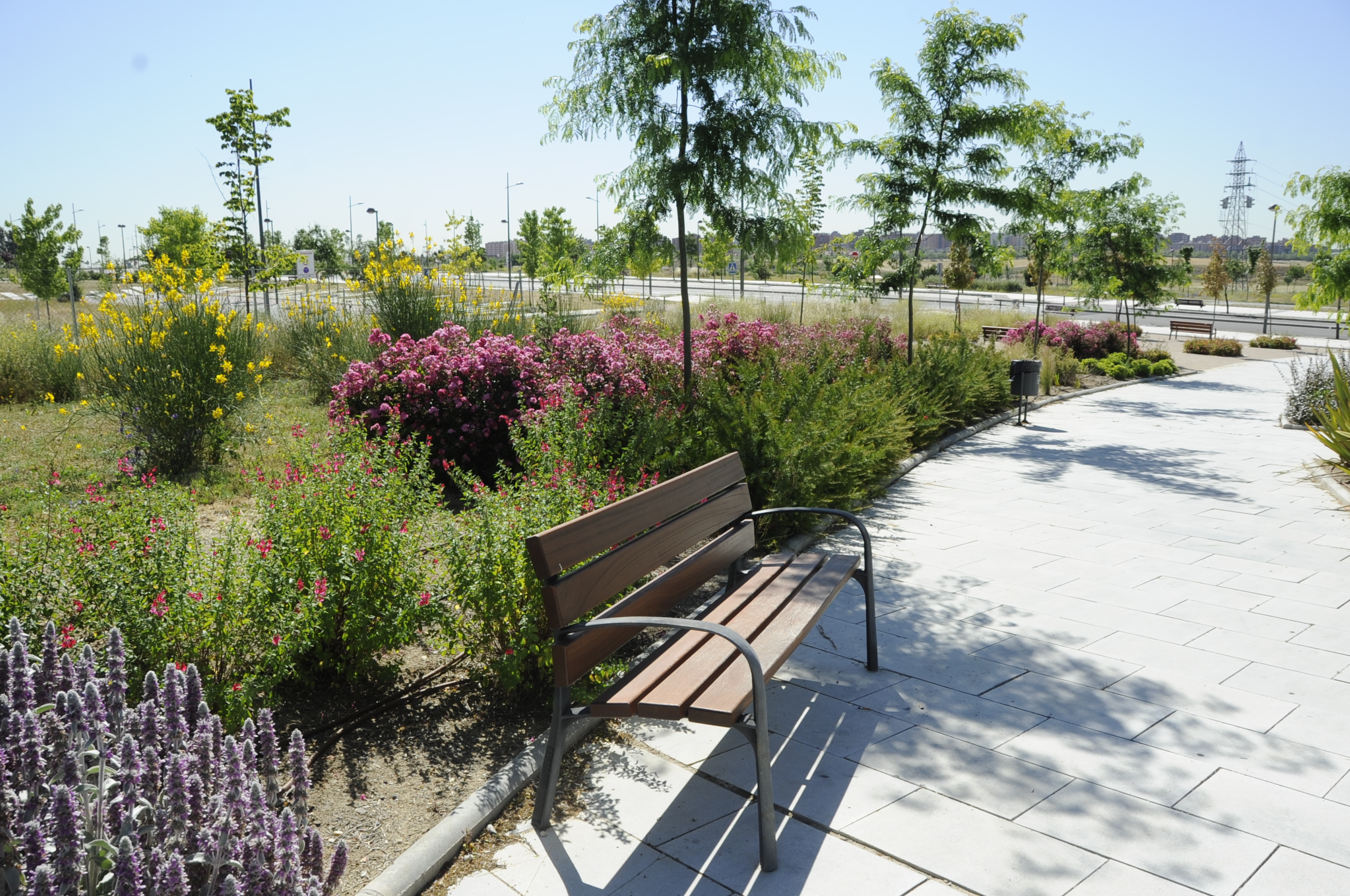 El Gobierno Municipal aprueba un nuevo proyecto de ajardinamiento