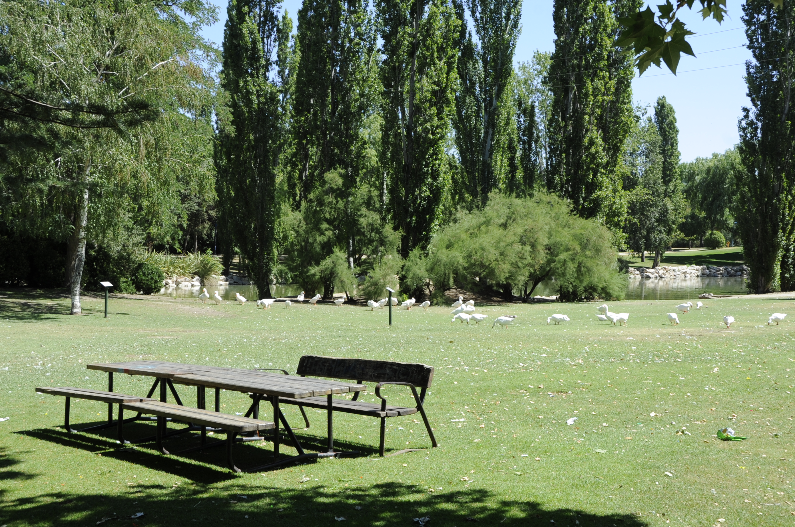 Estaciones de Workout