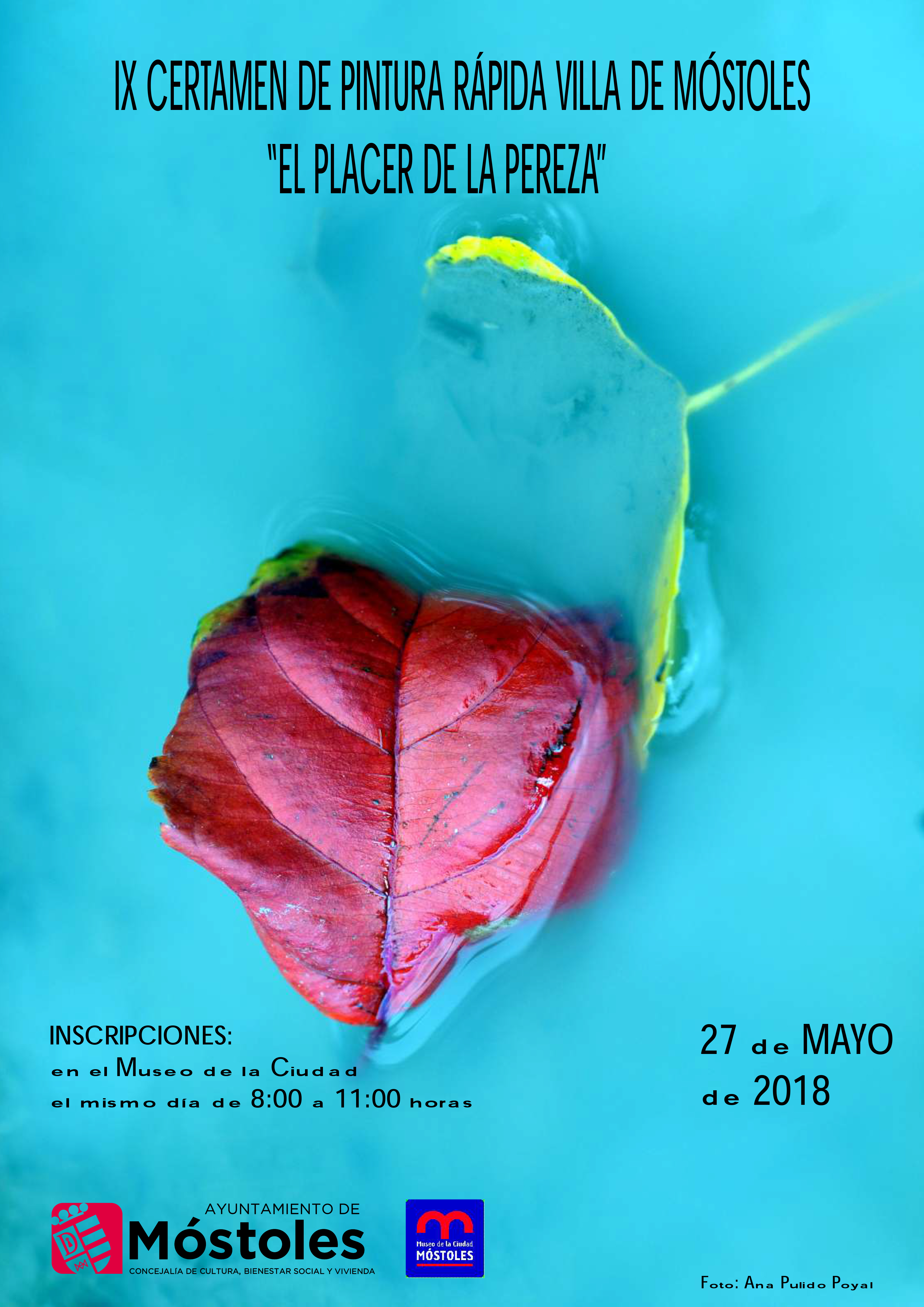 Cartel_IX_Certamen_pintura_rápida