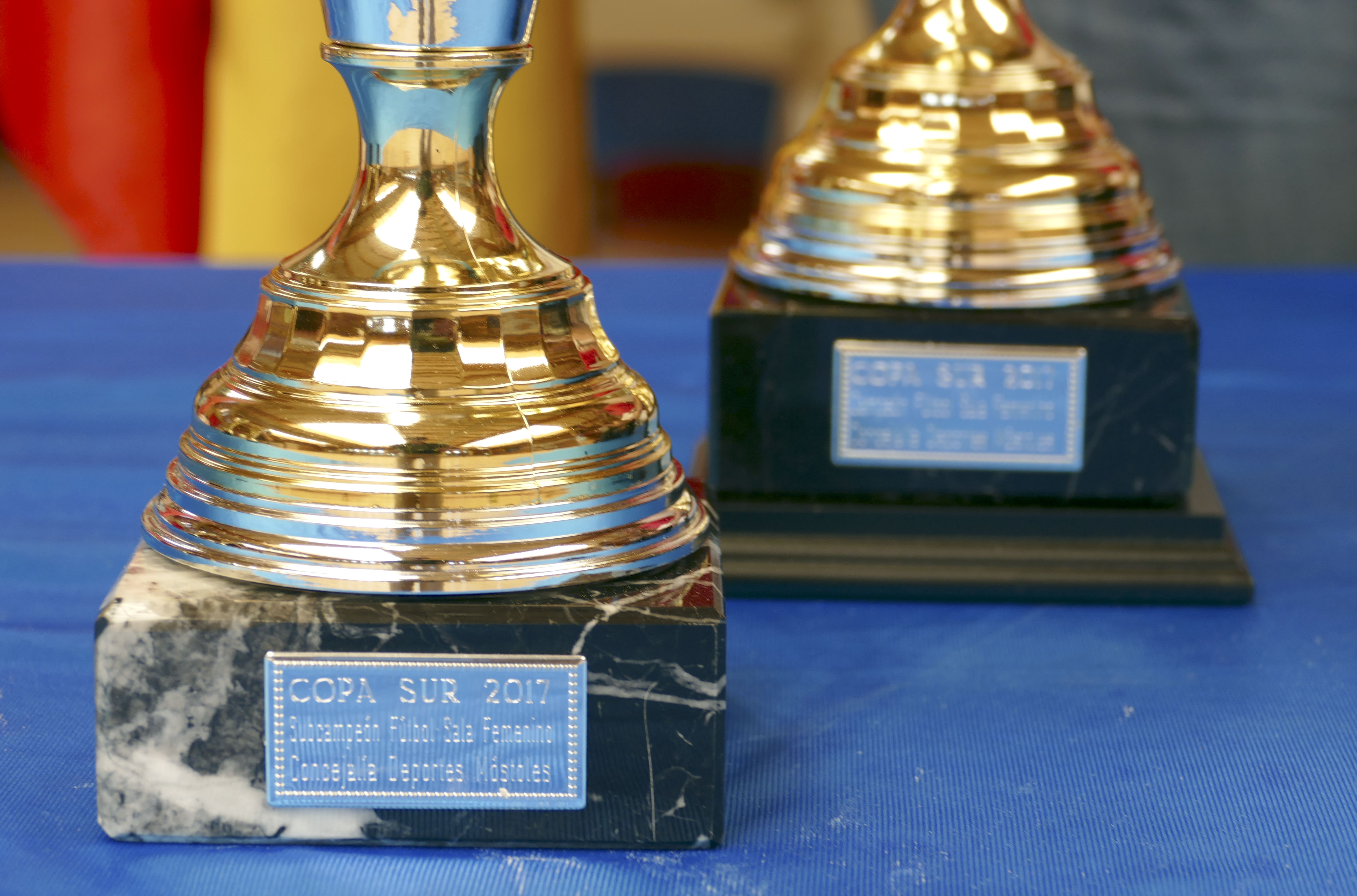 Copas municipos Sur 2