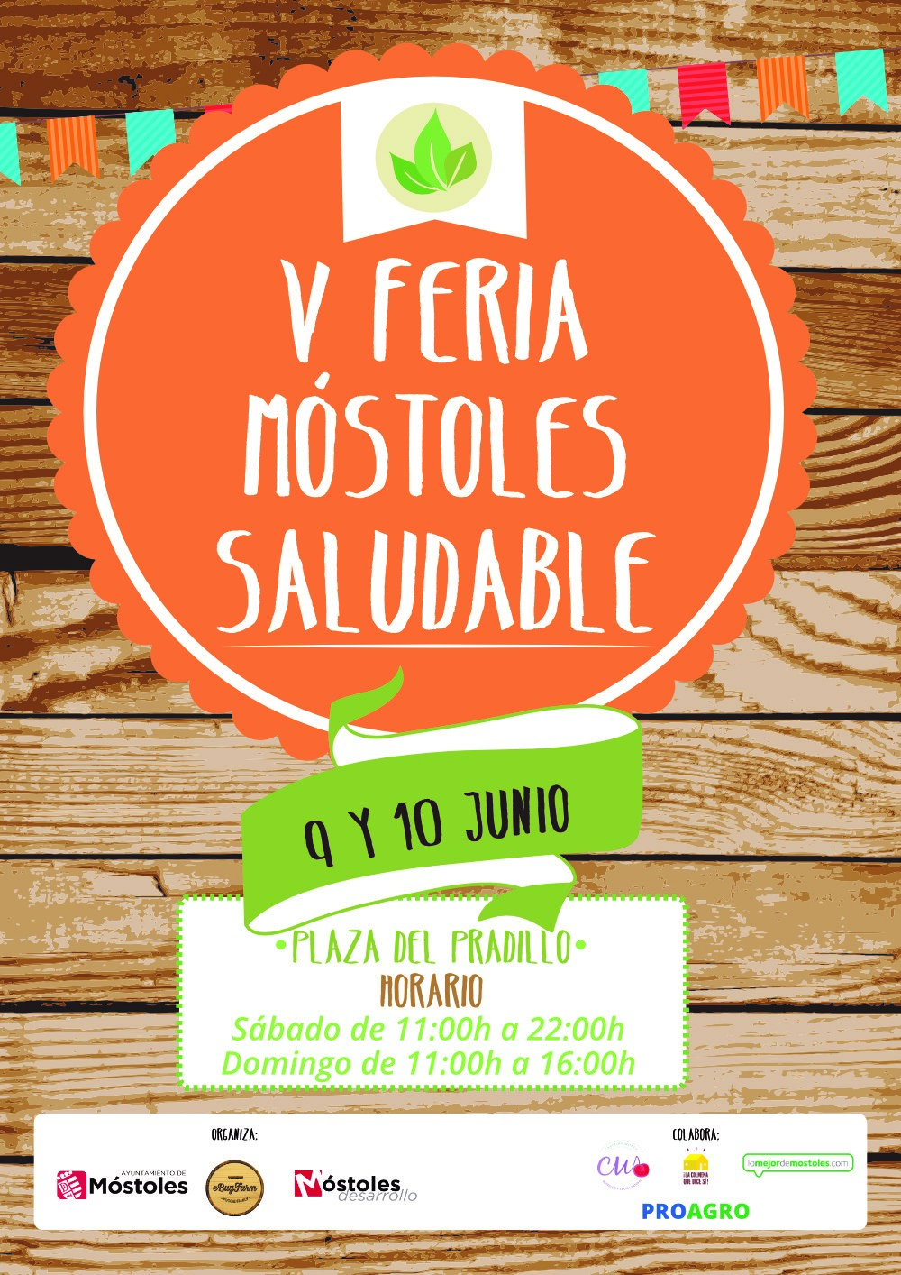 Cartel V Feria Mostoles Saludable