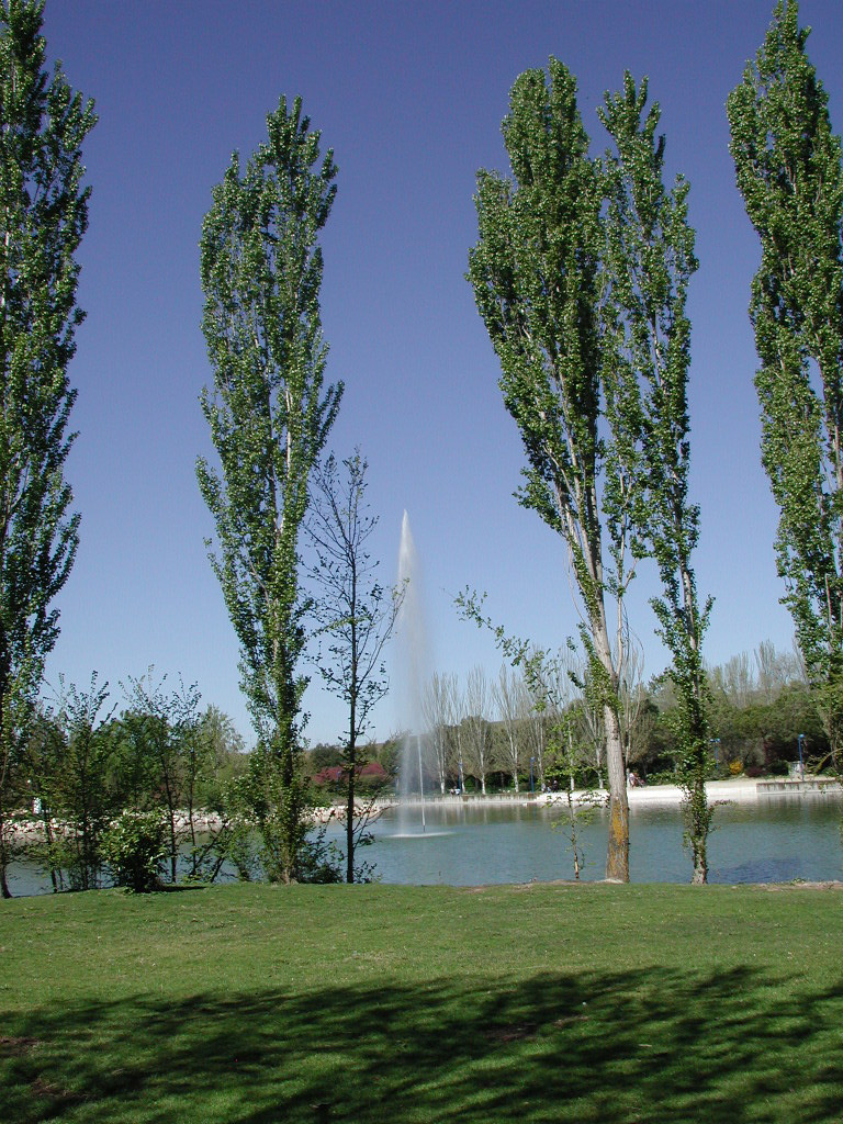 Parque Natural el Soto
