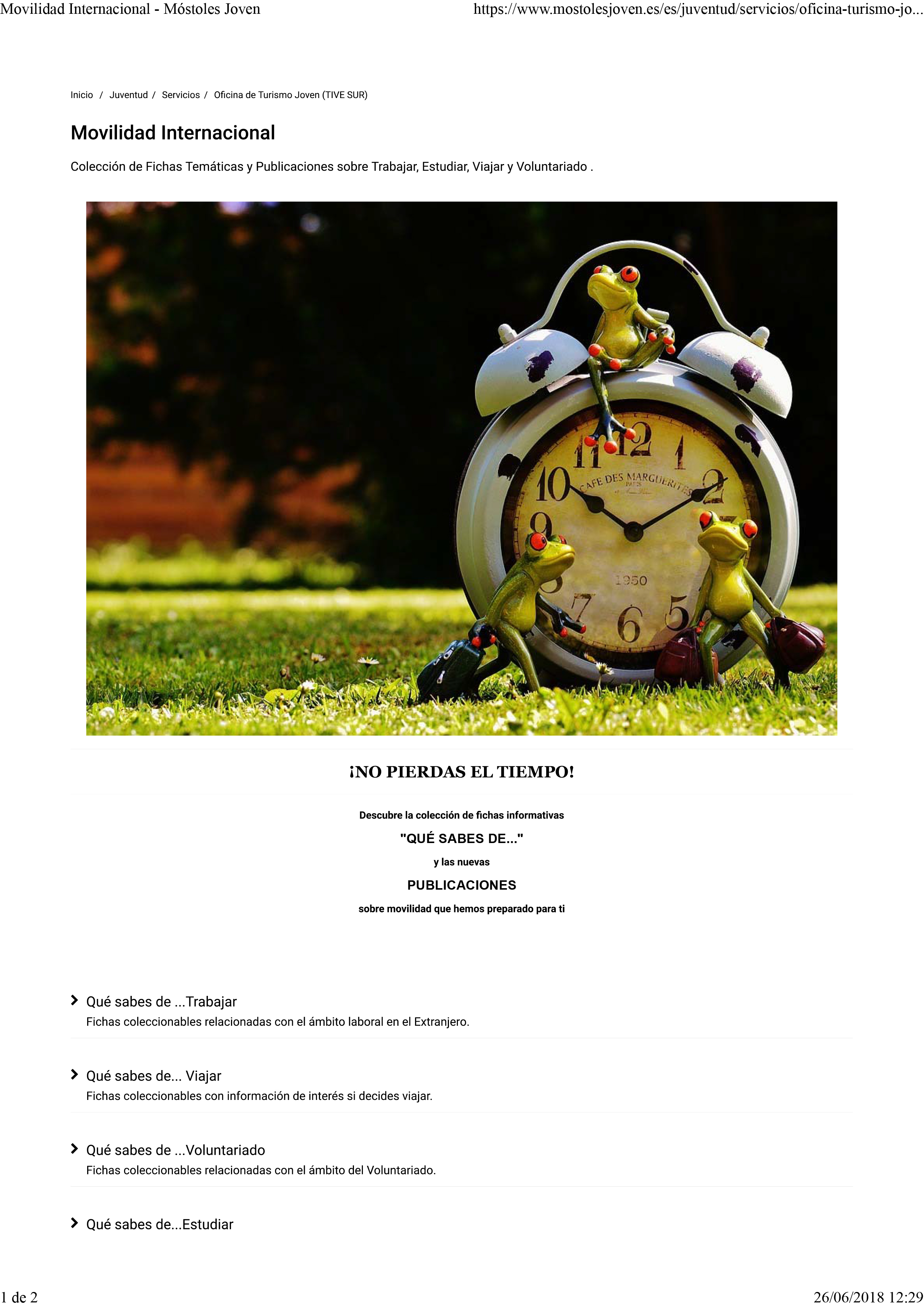 Movilidad Internacional - Móstoles Joven