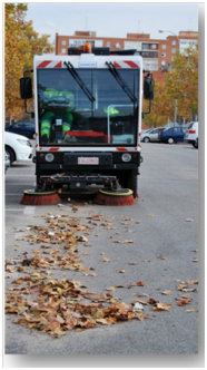 Plan especial de retirada de hojas