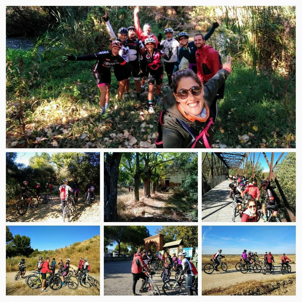 ayudas públicas Medio Ambiente 1
