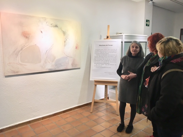 expo Rosa Lorenzo Estructura del paisaje 1