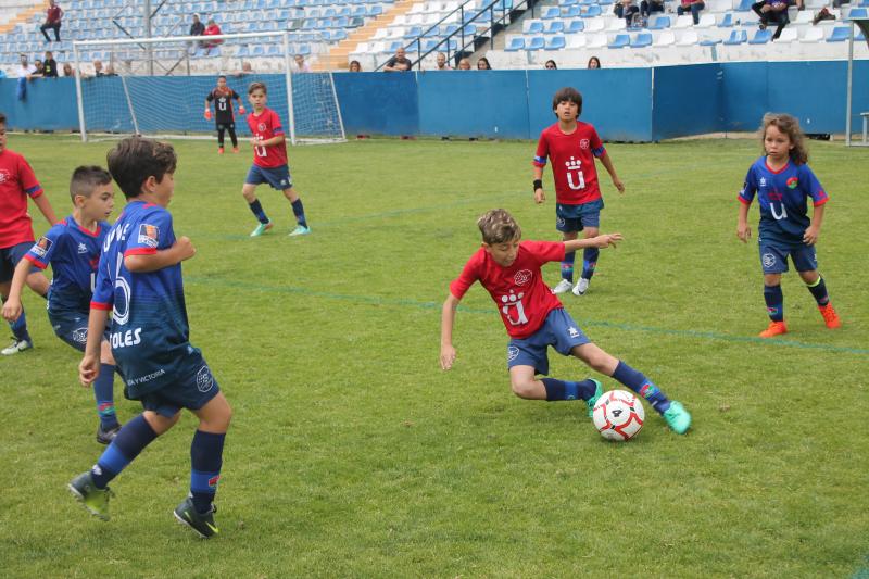 Benjamines y Prebenjamines del C.D. Móstoles