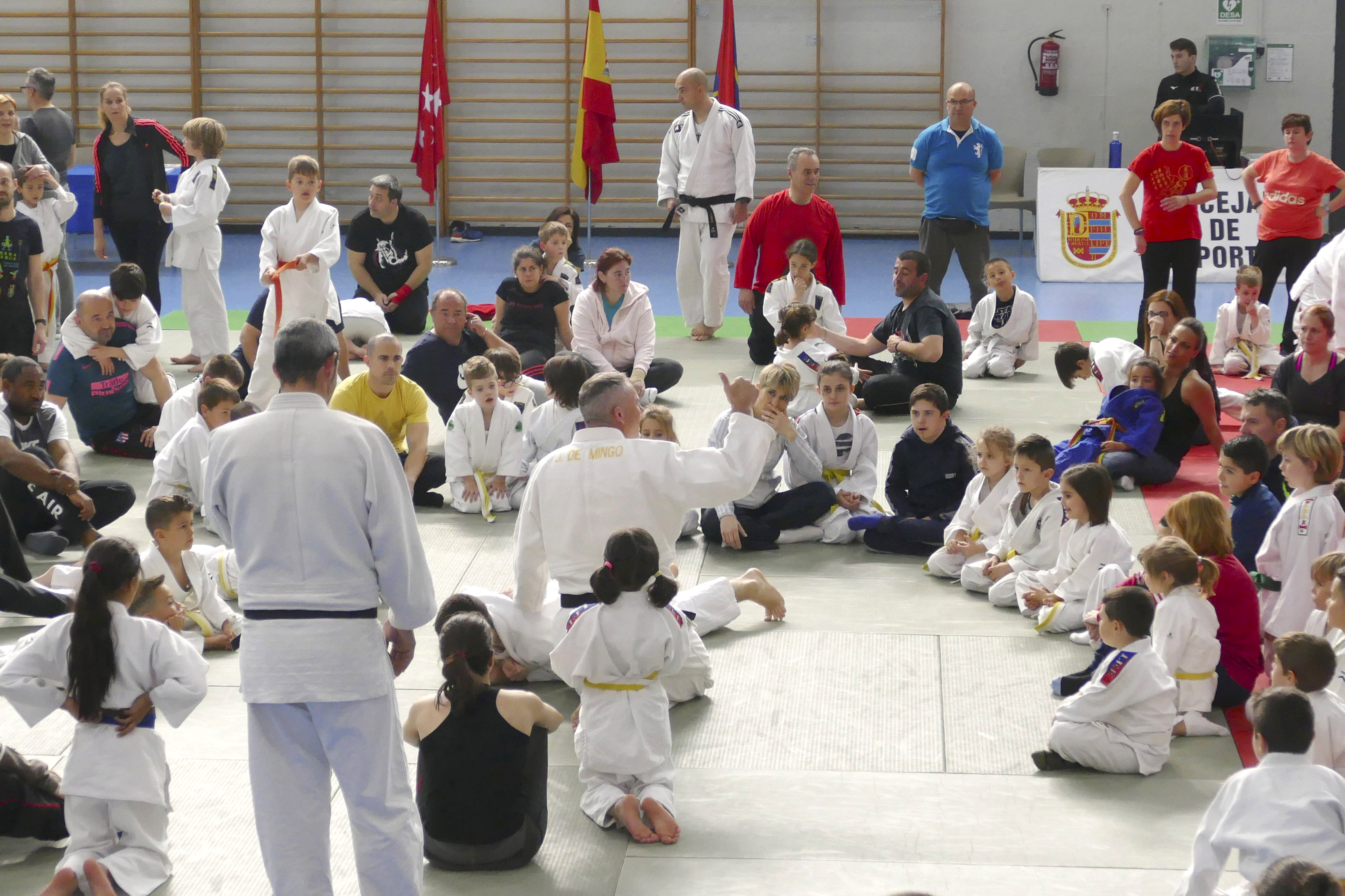 Judo en familia 1