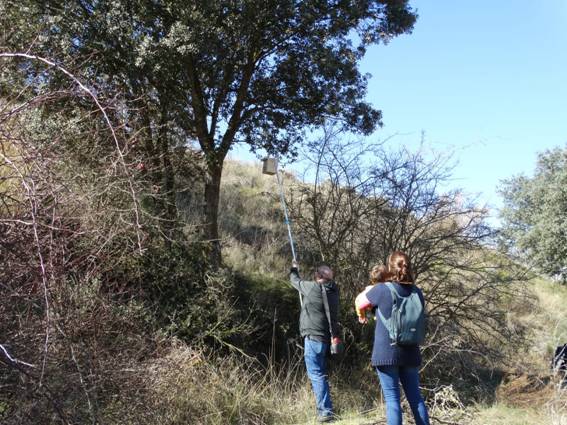 Taller sobre biodiversidad urbana 4p