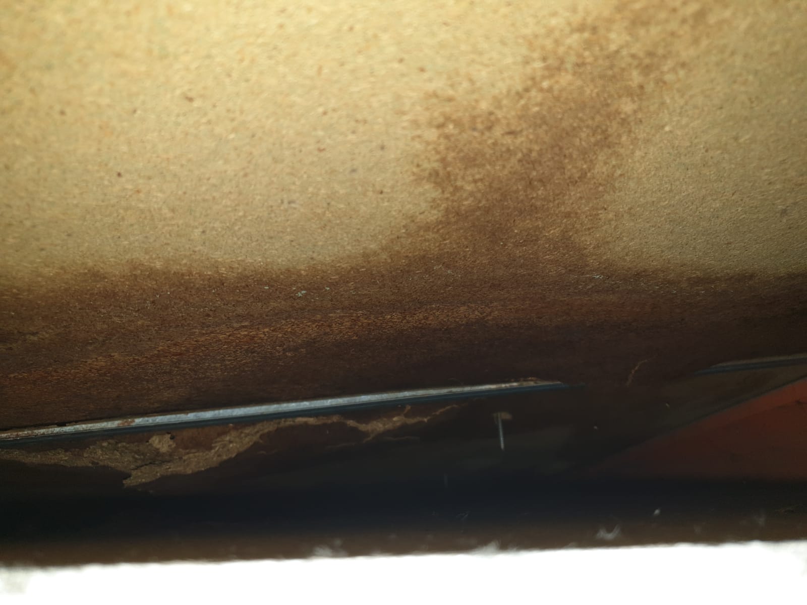 Reparación cubierta CEIP Miguel Delibes 1