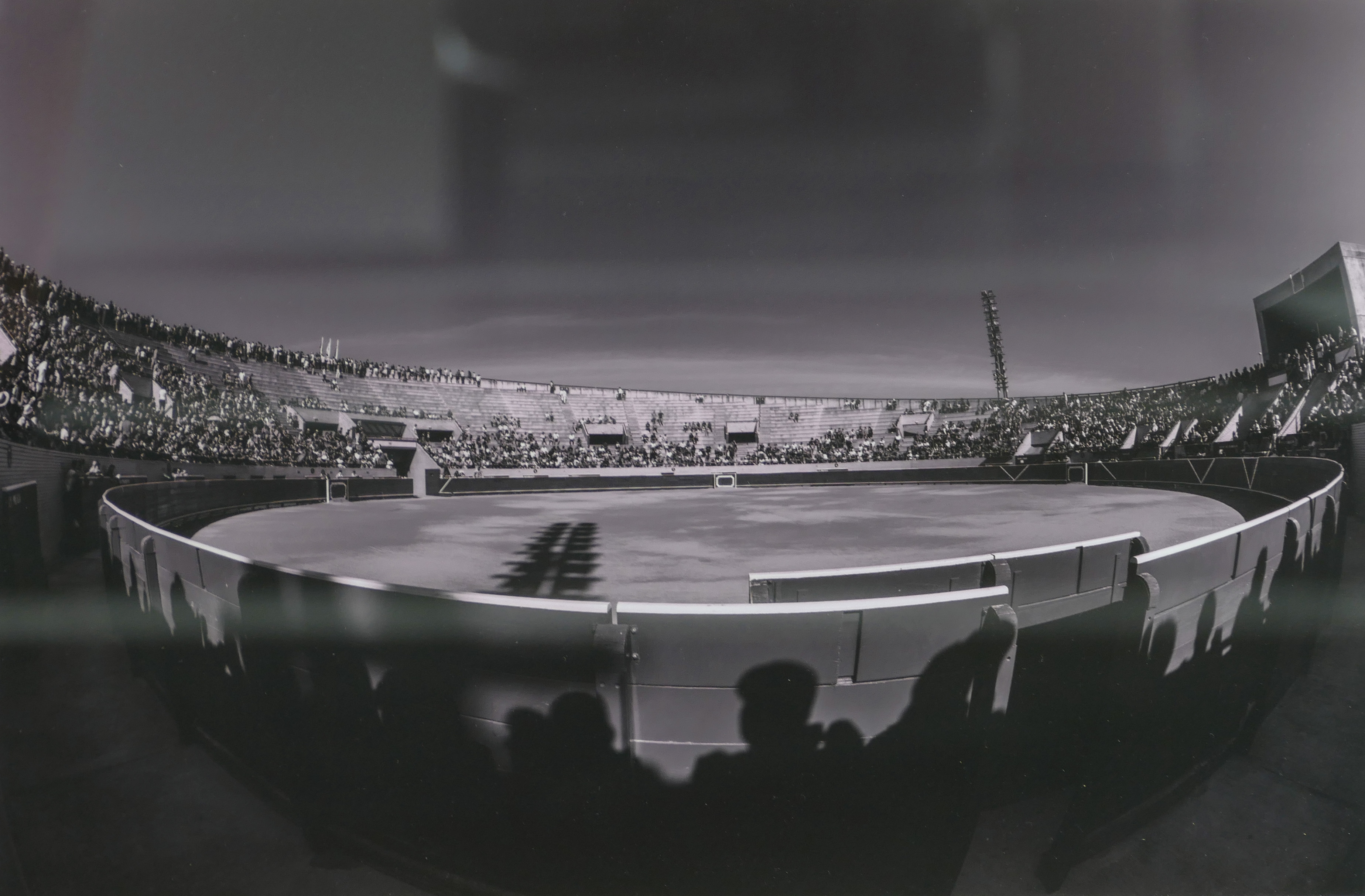 Primer Premio 2018 Sombras Expectantes