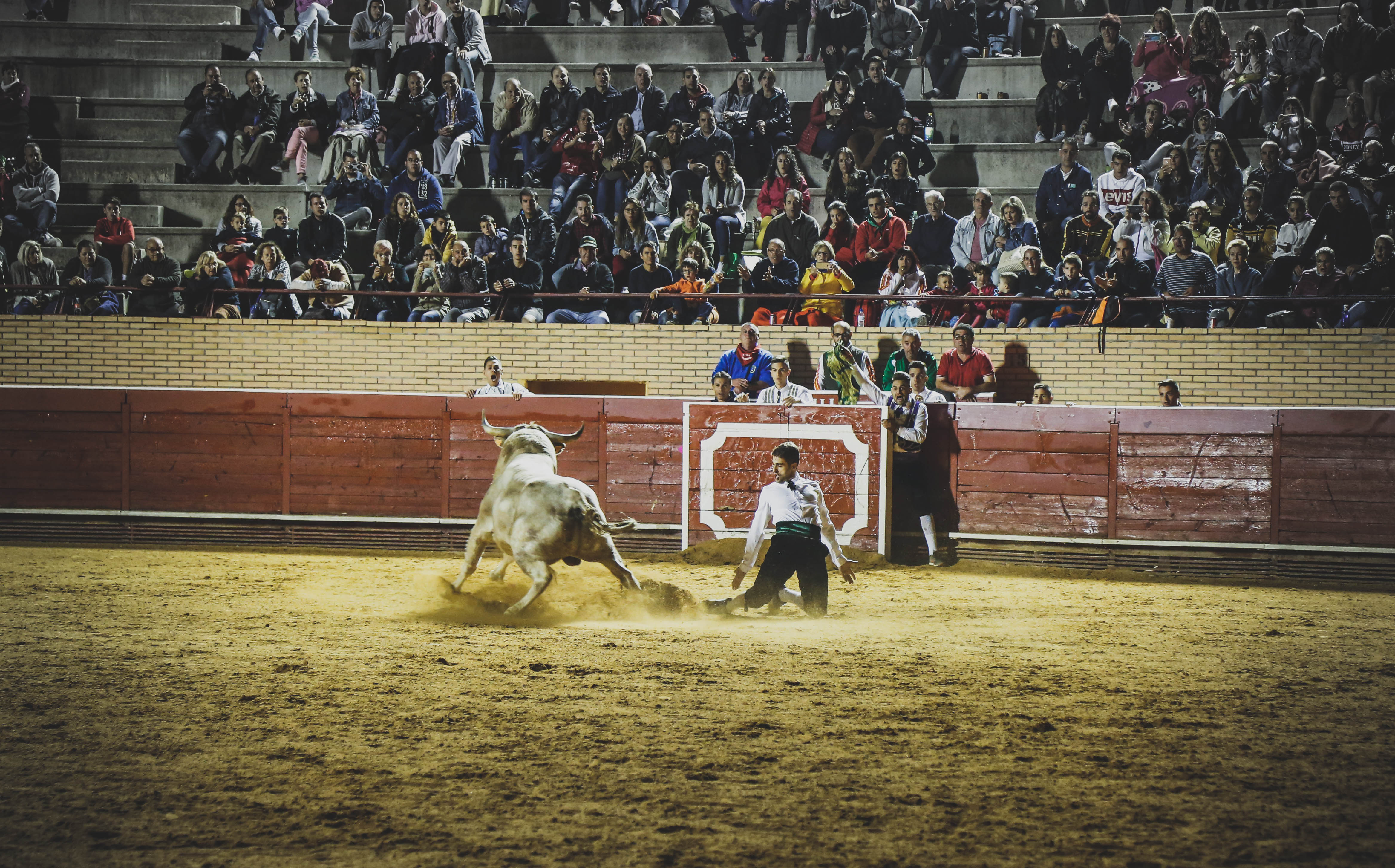 Festival de Recortes (3)p