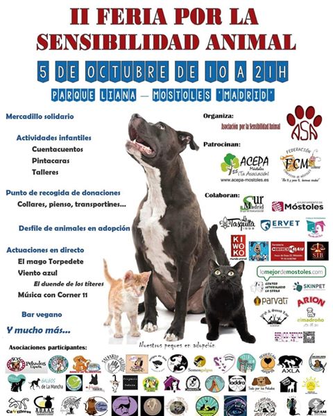 sensibilización mascotas