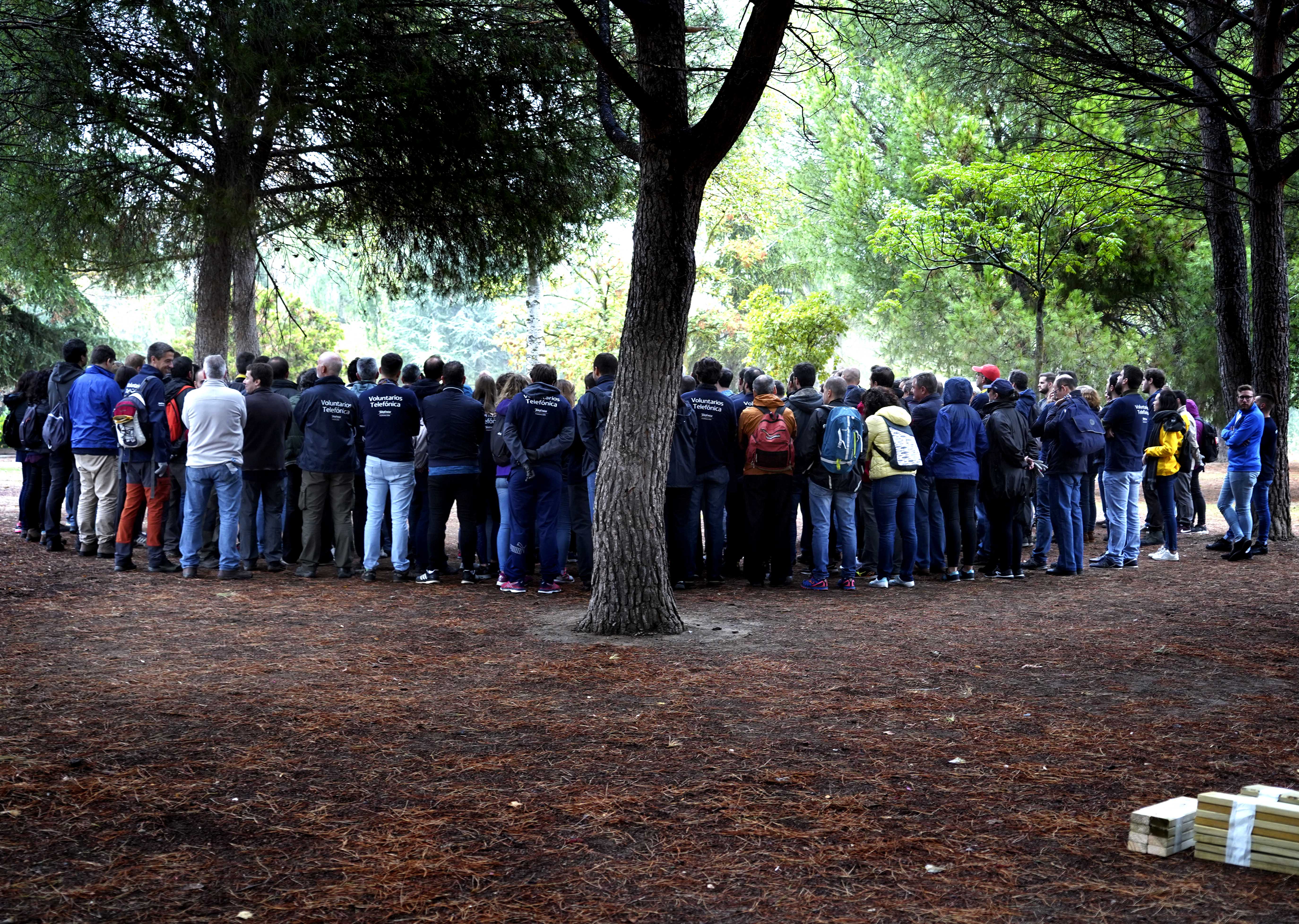 visita plantacion arboles 1
