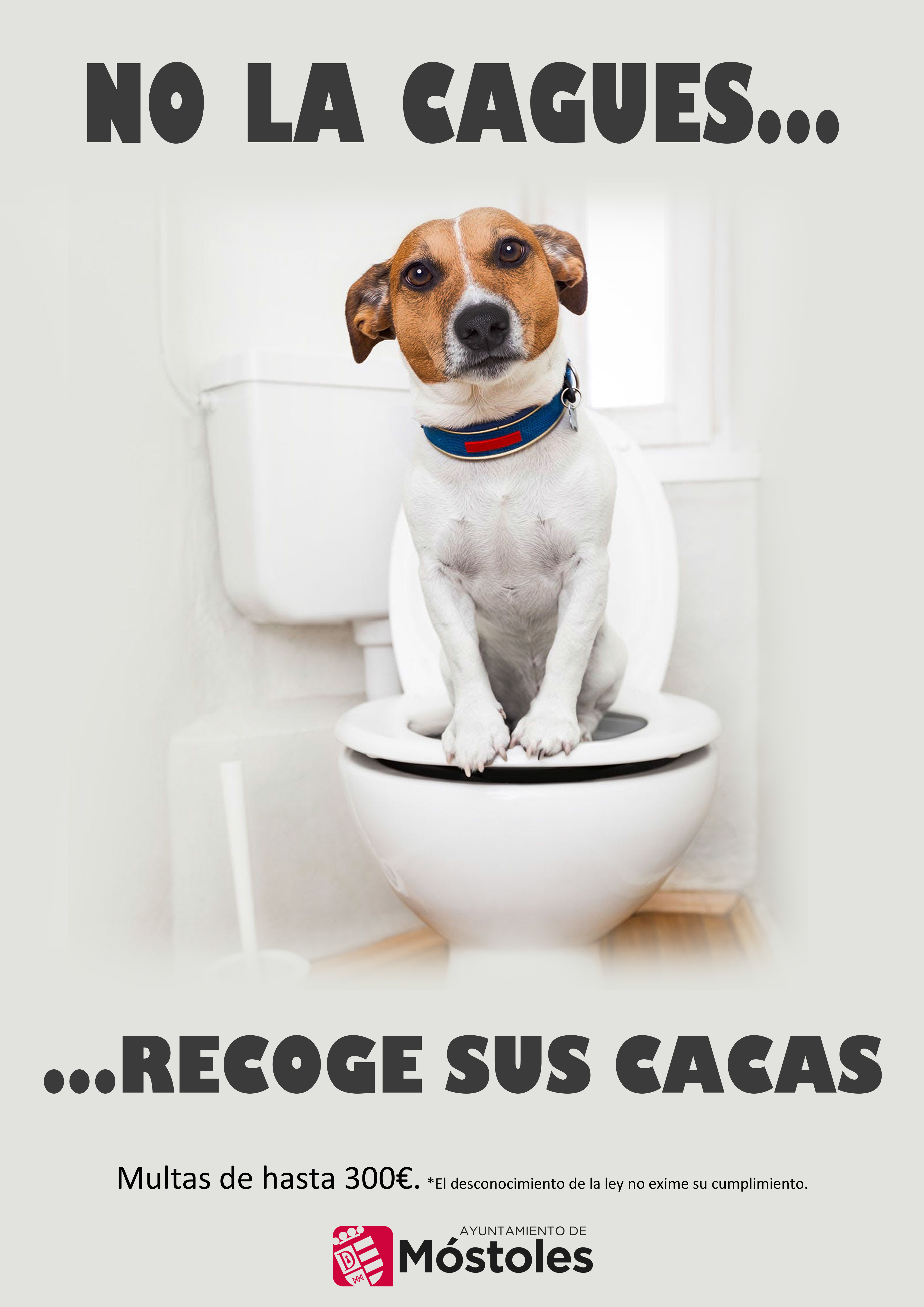 cartel perro cacas