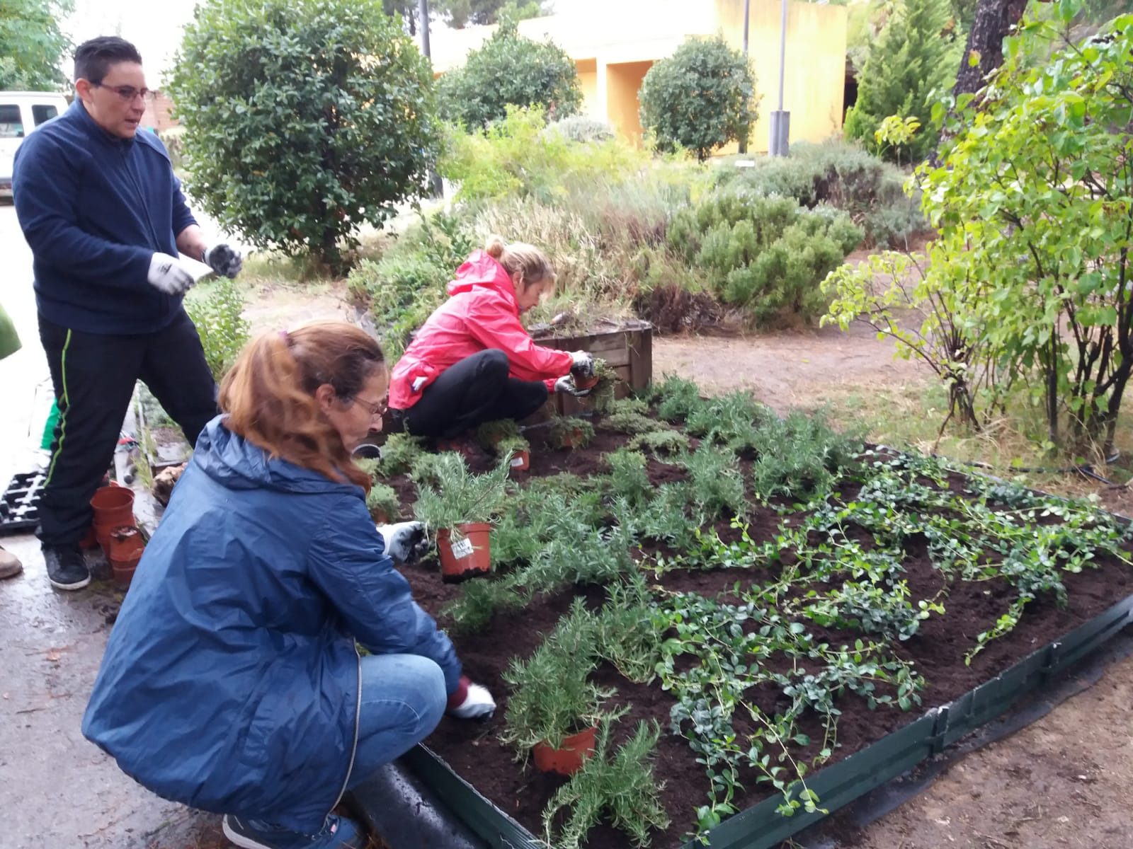 ayudas medioambientales 1