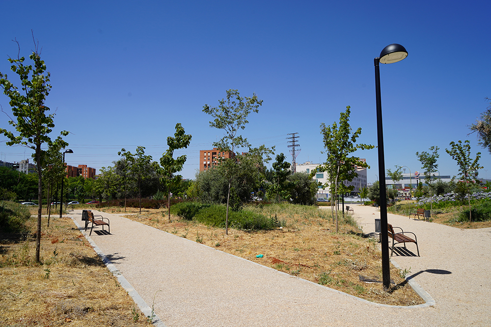 recepción parcial del PP7 1