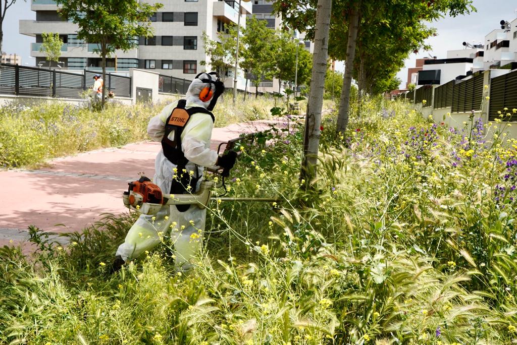 parques y jardines 6 p