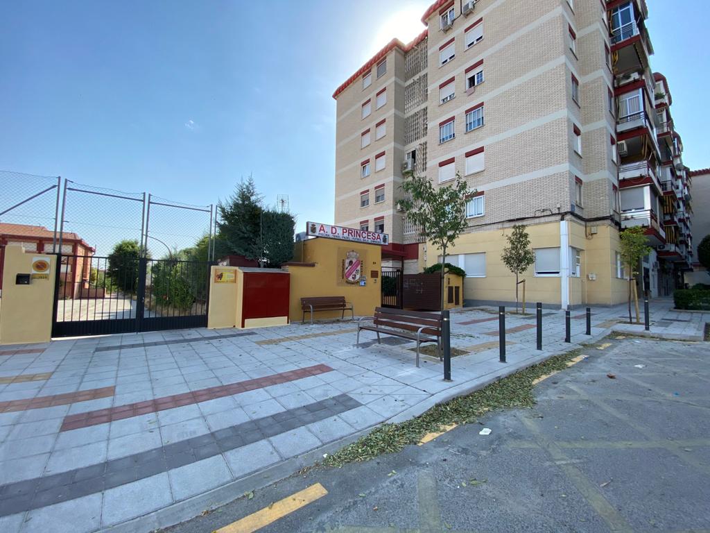 árboles Fco Javier Sauquillo 2 p